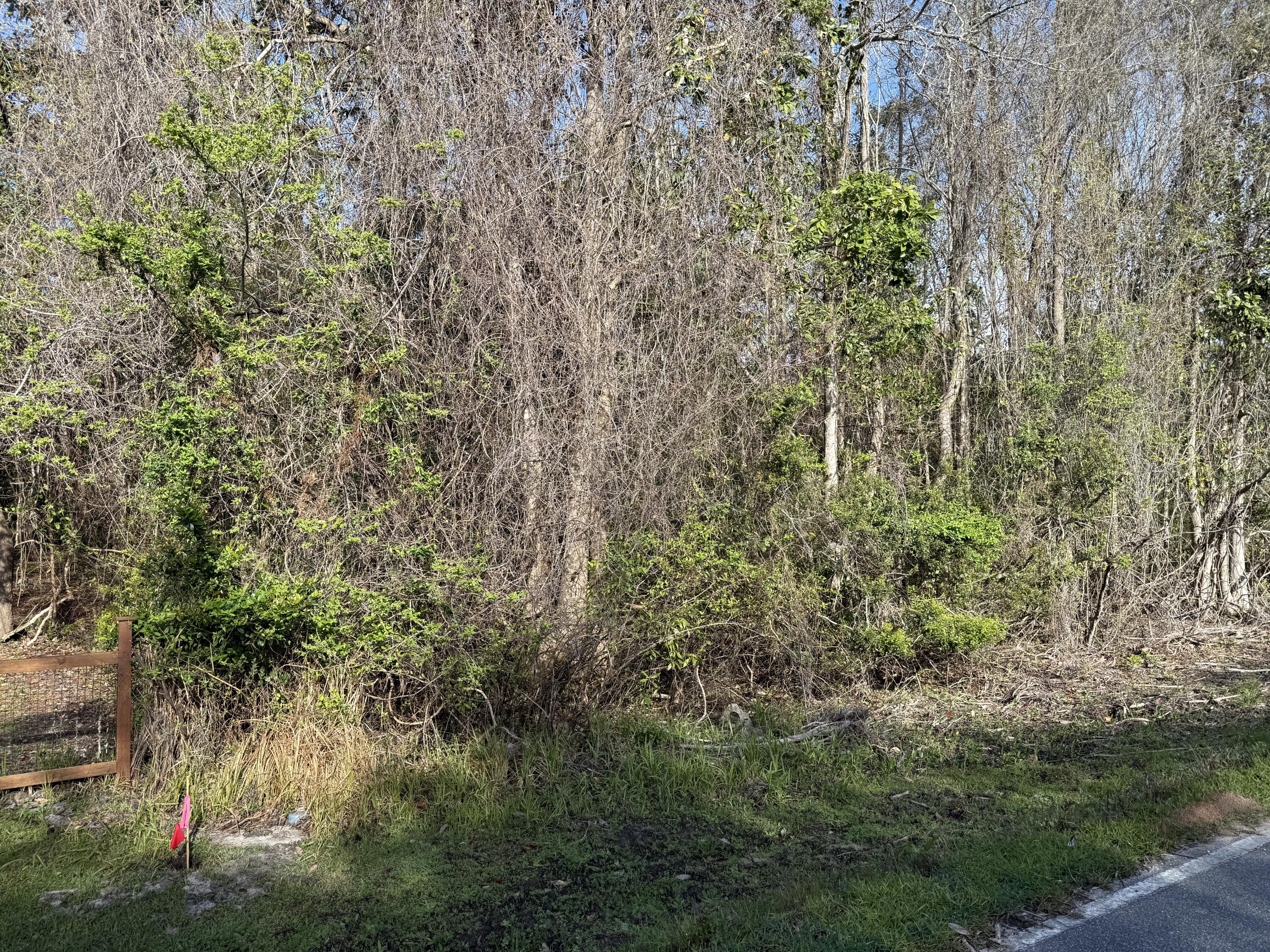 Lot 8 Marsh Avenue Freeport FL 32439