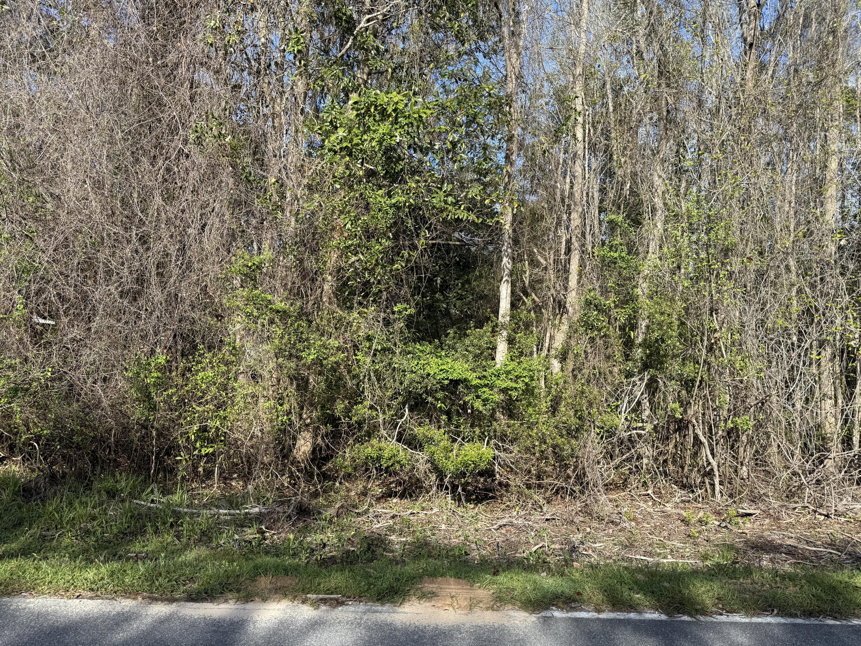 Lot 8 Marsh Avenue Freeport FL 32439