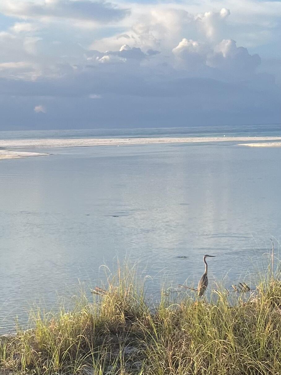 Lot 20 Magnolia Street Santa Rosa Beach FL 32459