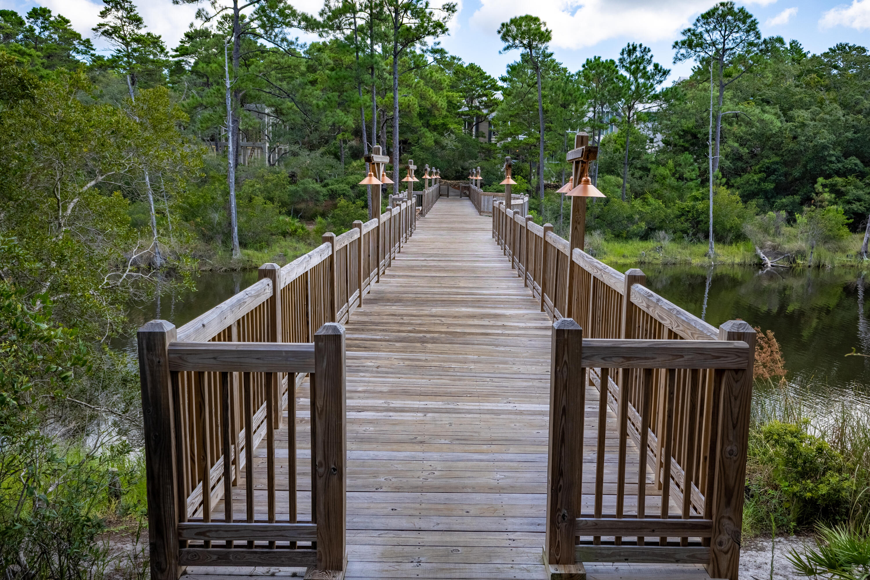 Lot 2 Thistle Lane Santa Rosa Beach FL 32459