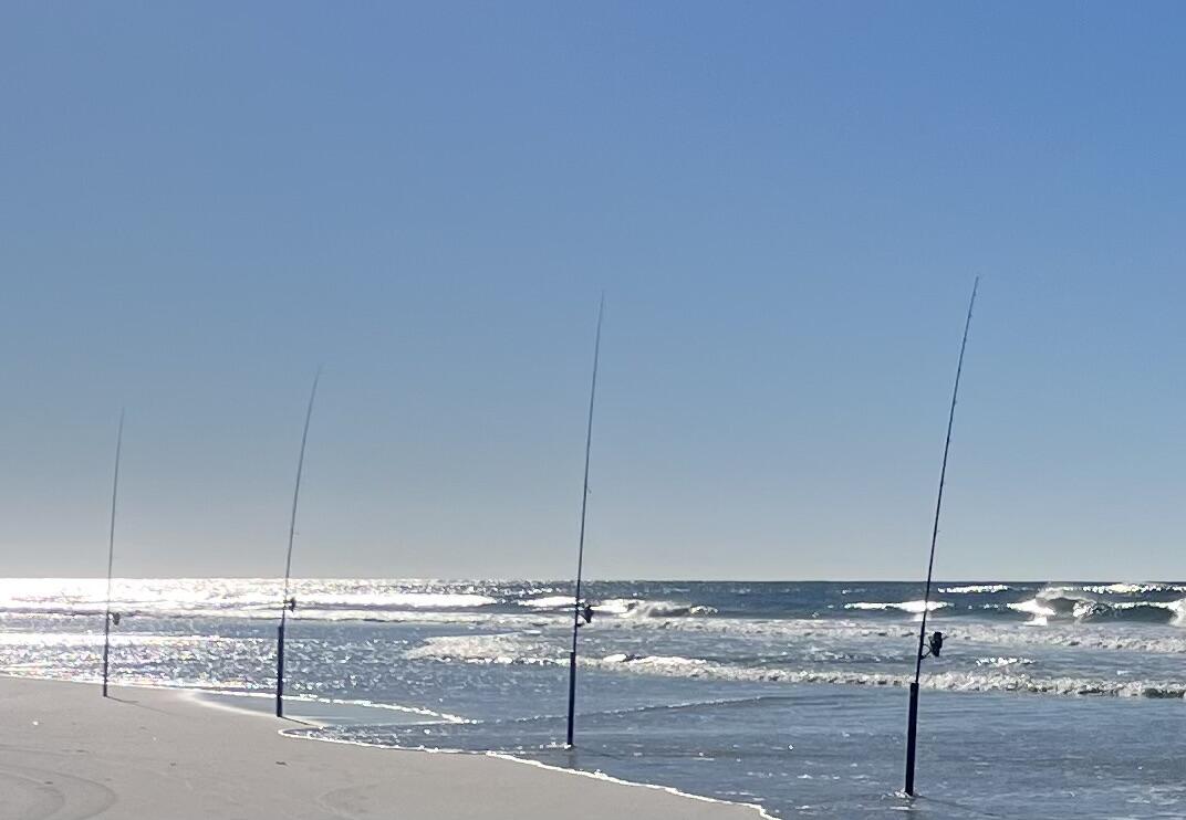 Lot 3 Pine Street Santa Rosa Beach FL 32459