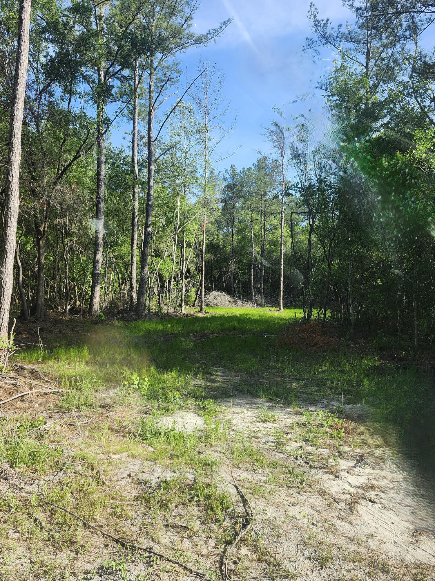168 Acres Co Highway 1087 Defuniak Springs FL 32433