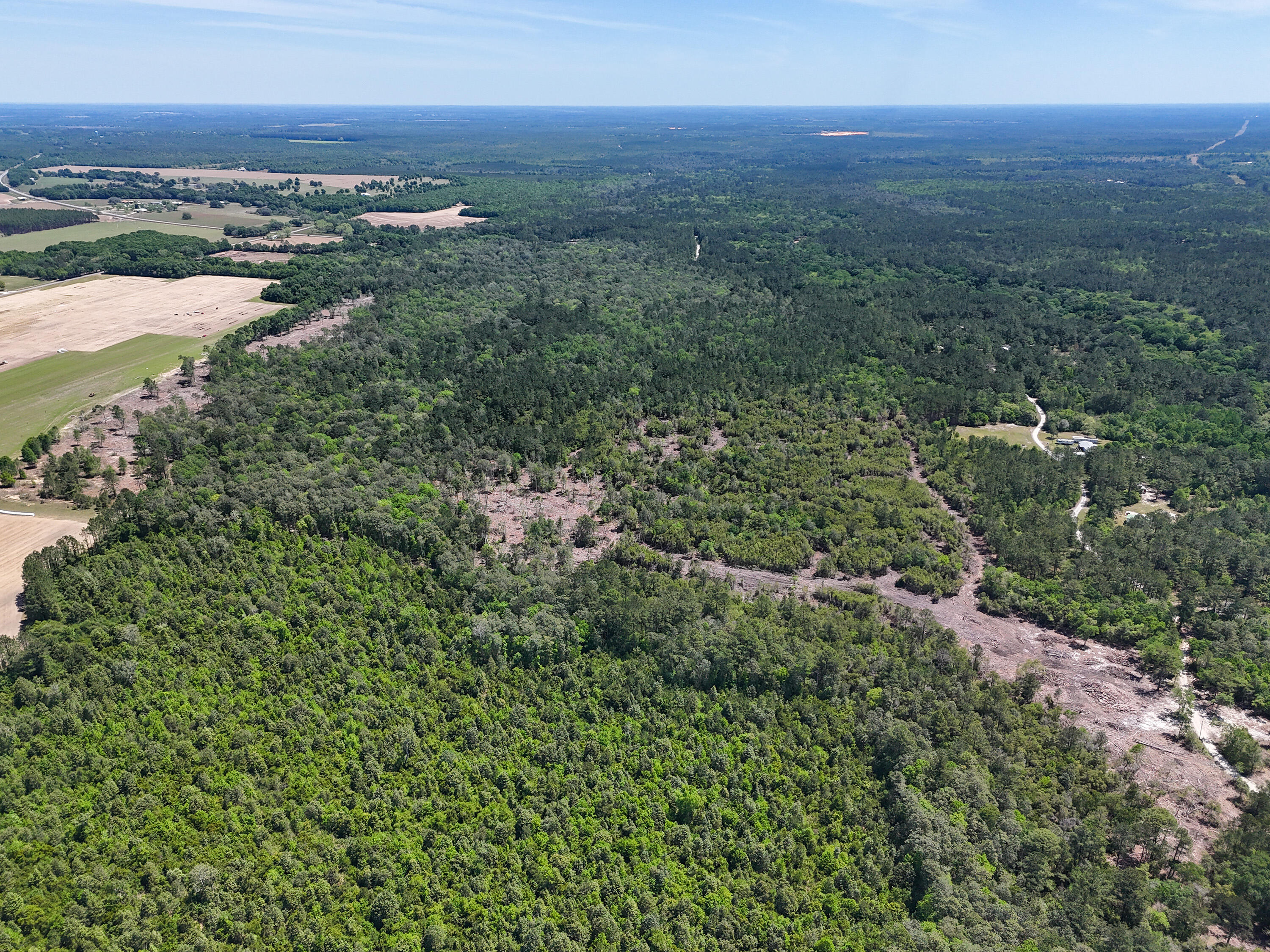 168 Acres Co Highway 1087 Defuniak Springs FL 32433