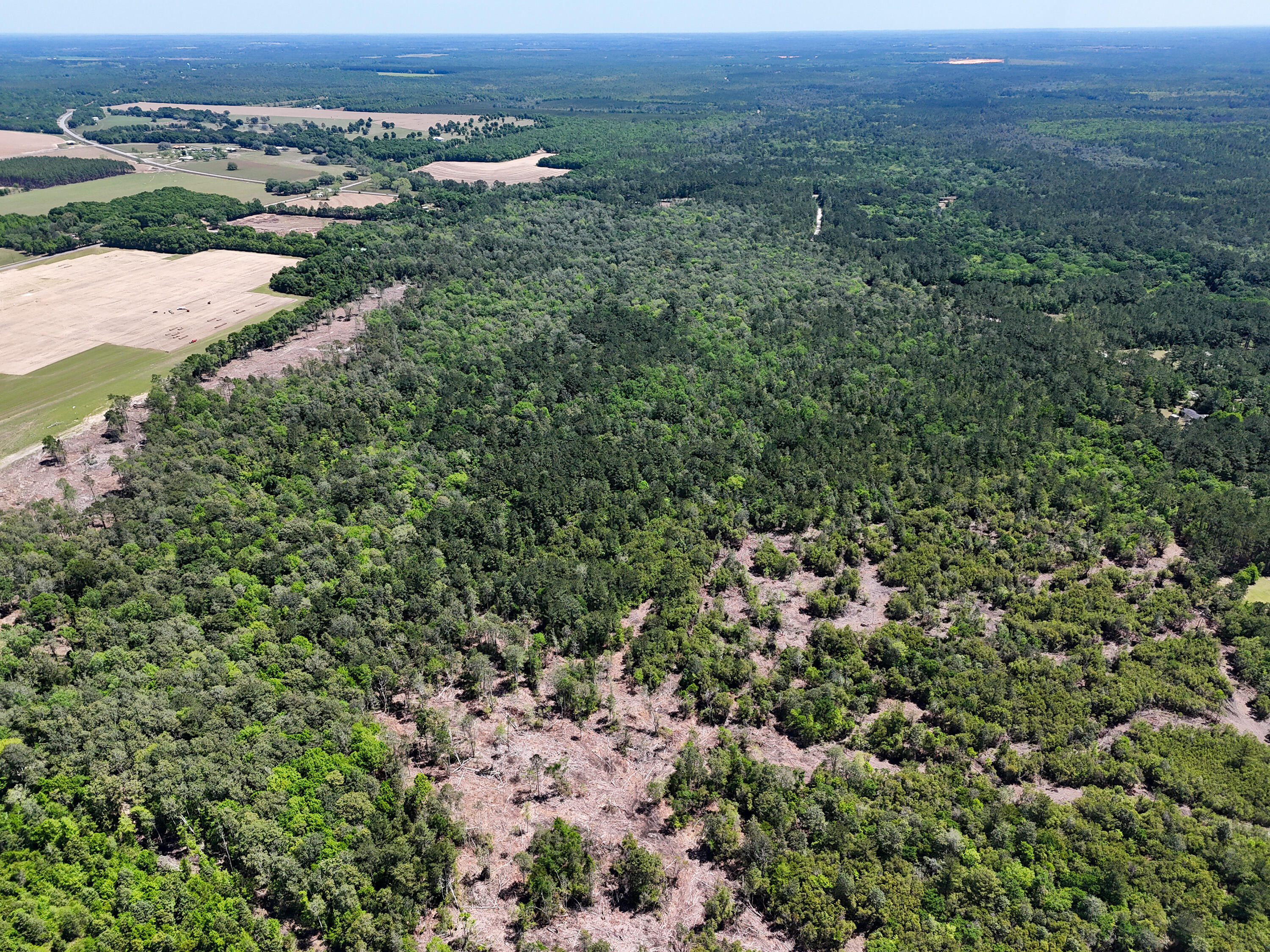 168 Acres Co Highway 1087 Defuniak Springs FL 32433