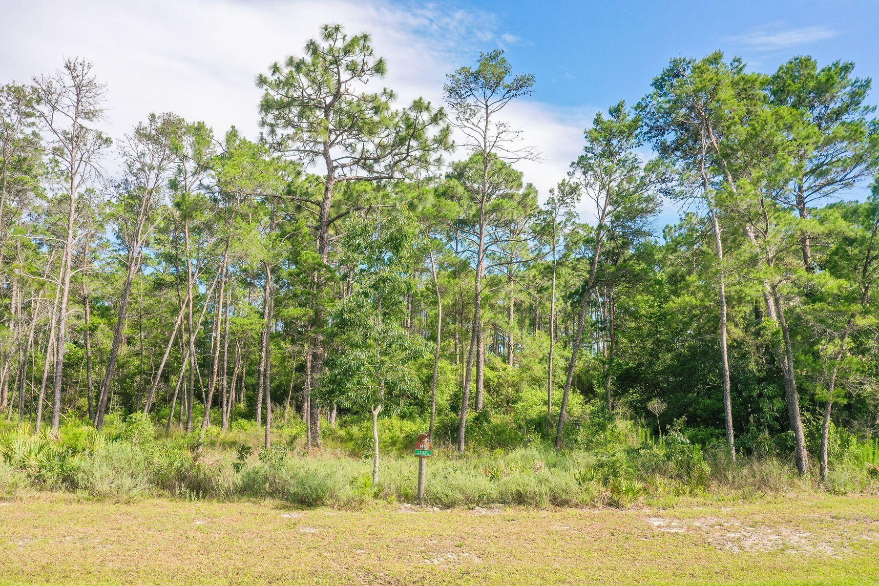 1412 Turtleback Trail Panama City Beach FL 32413