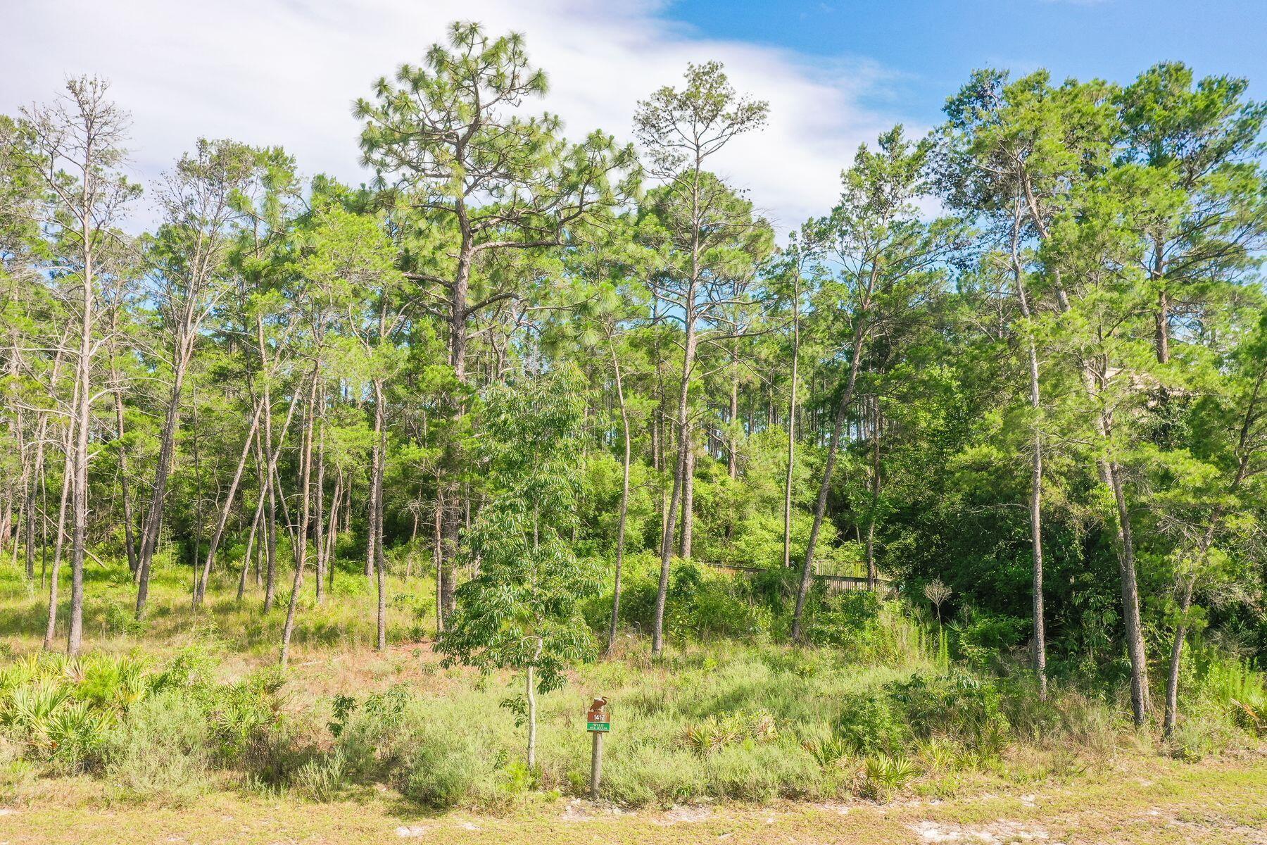 1412 Turtleback Trail Panama City Beach FL 32413