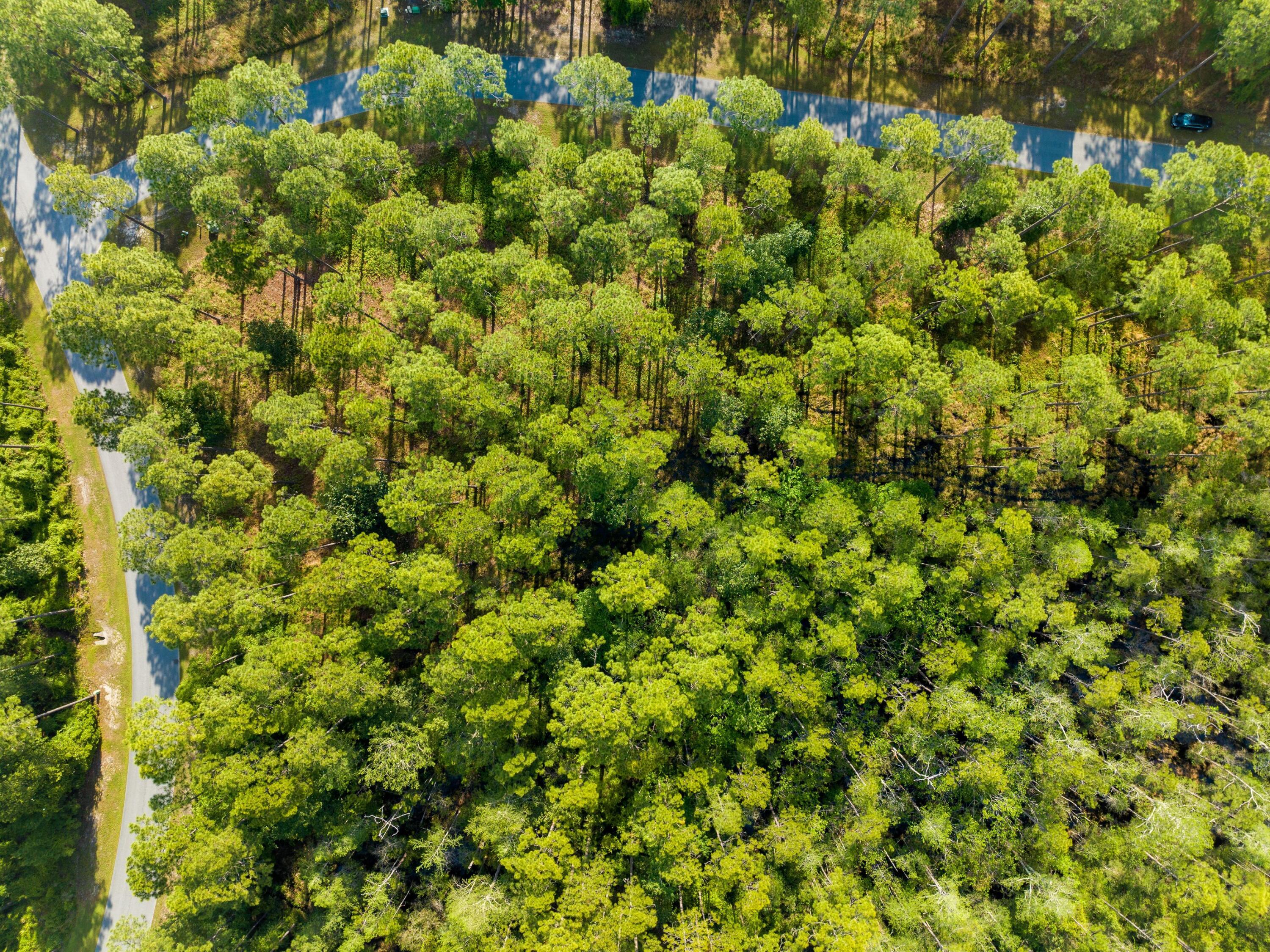 7535 Morning Marsh Trail Panama City Beach FL 32413