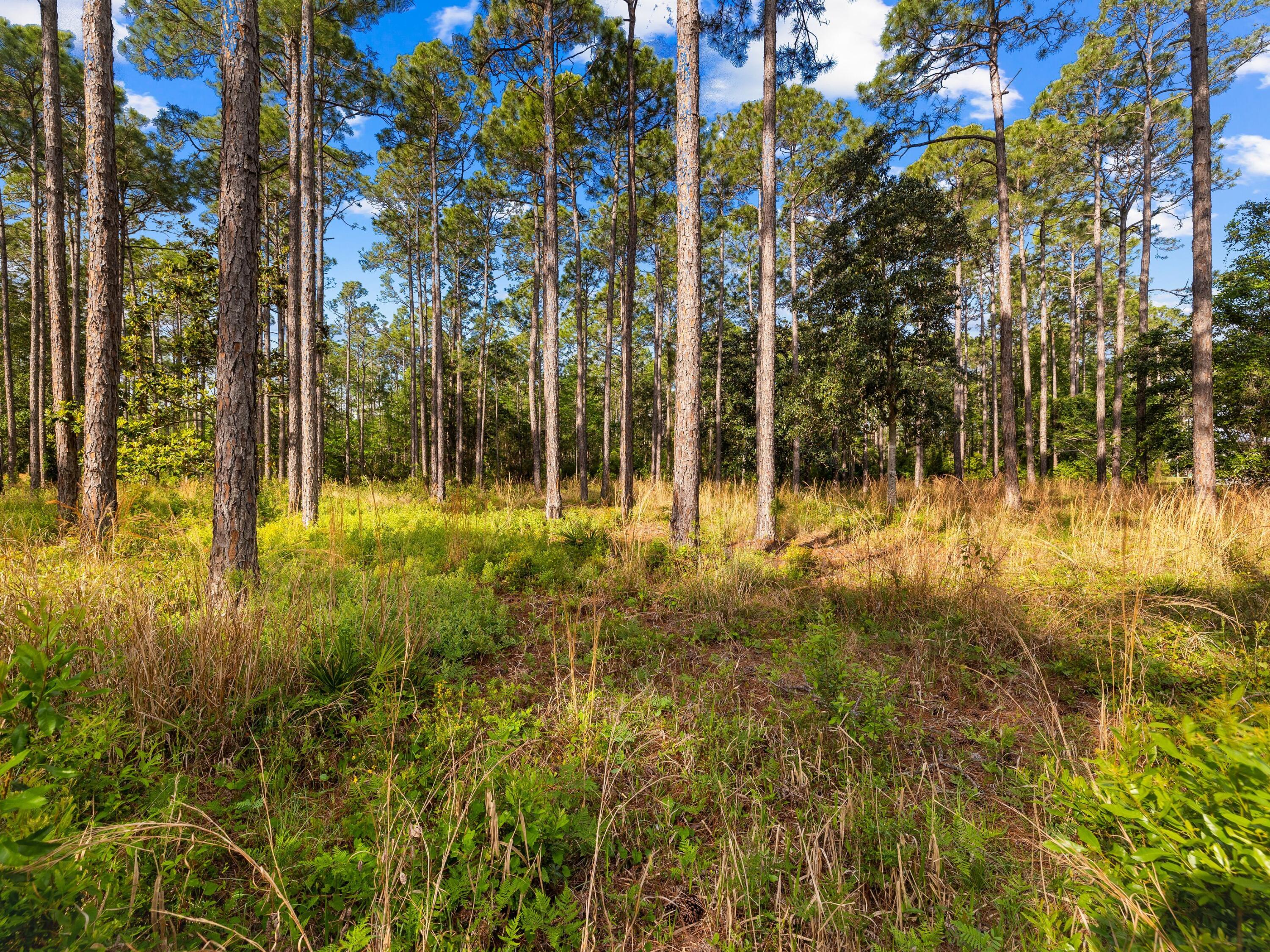7535 Morning Marsh Trail Panama City Beach FL 32413
