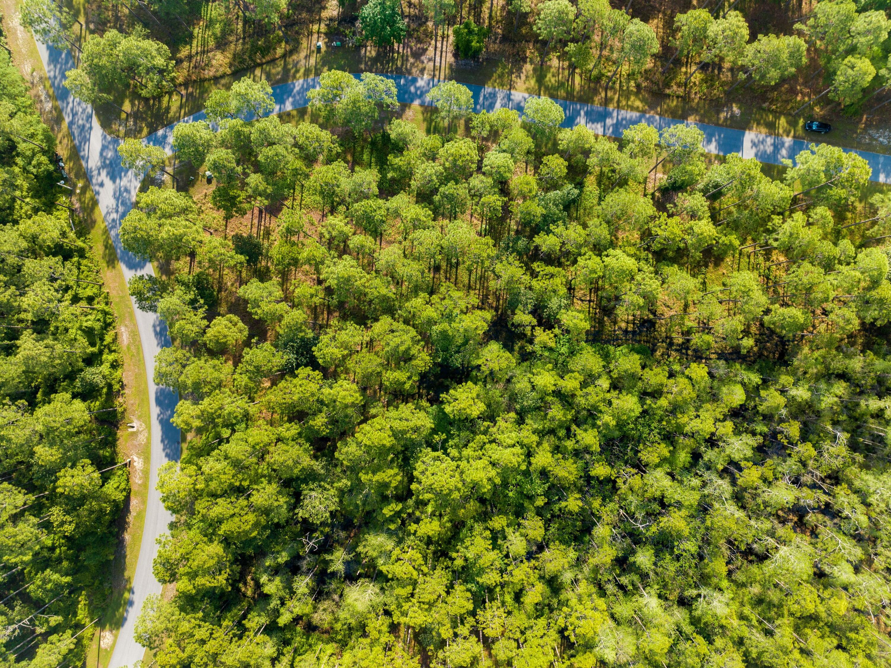7535 Morning Marsh Trail Panama City Beach FL 32413