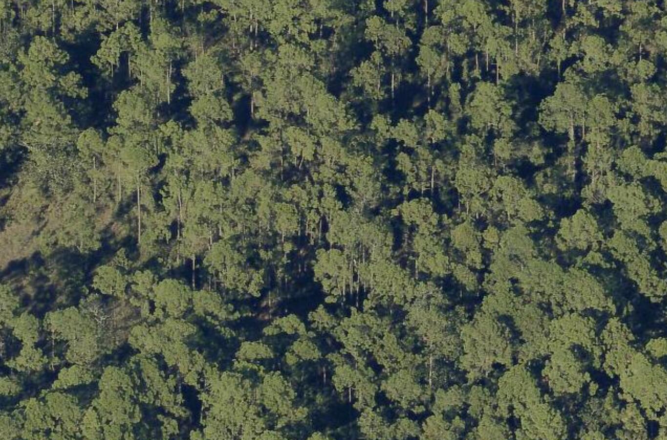 Lot 7 S 14th Street Santa Rosa Beach FL 32459