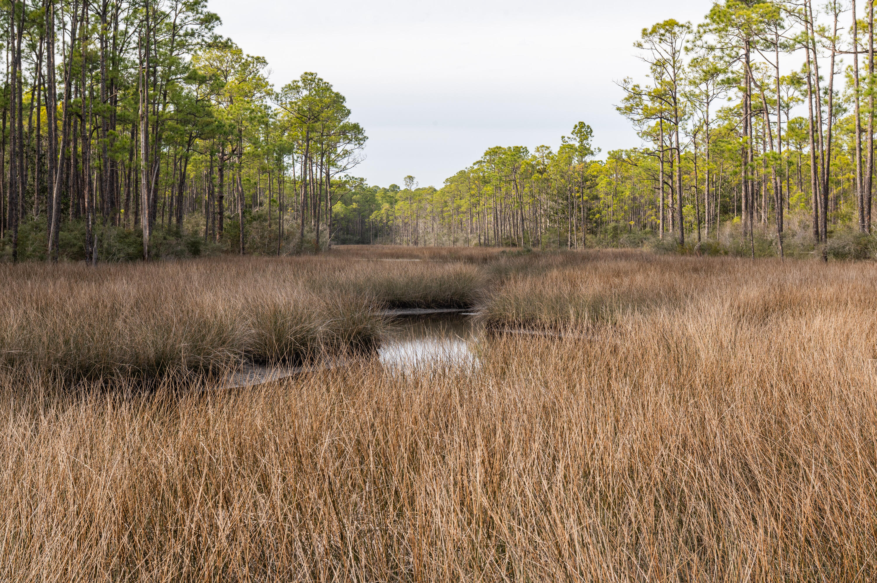 205 W Nursery Road Santa Rosa Beach FL 32459