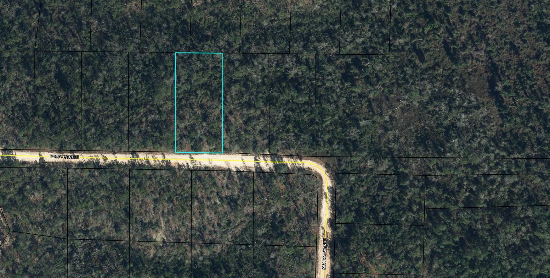 Lot 40 Poppy Street Marianna FL 32448