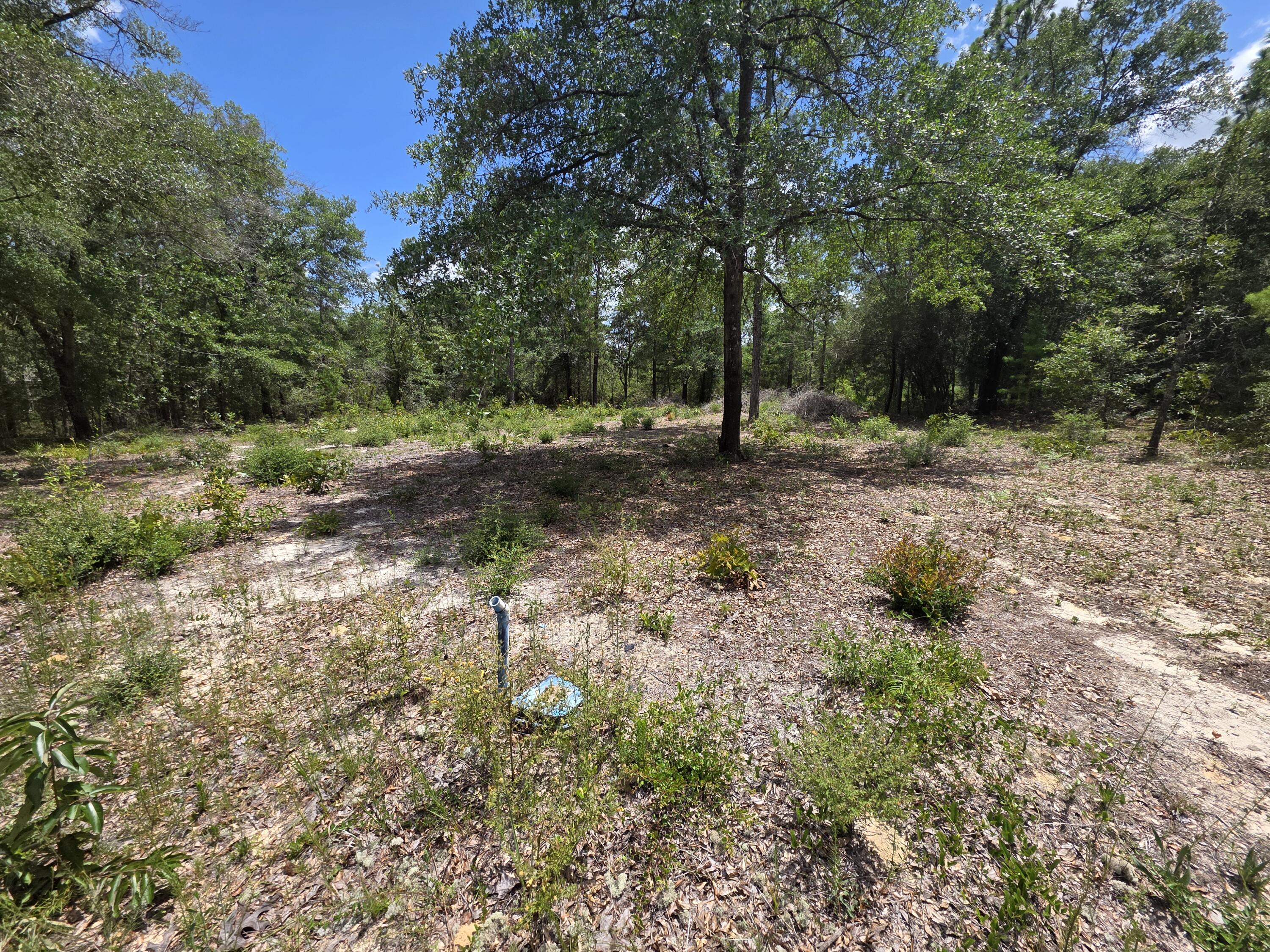 Lot 20 E Tulip East Avenue Defuniak Springs FL 32433
