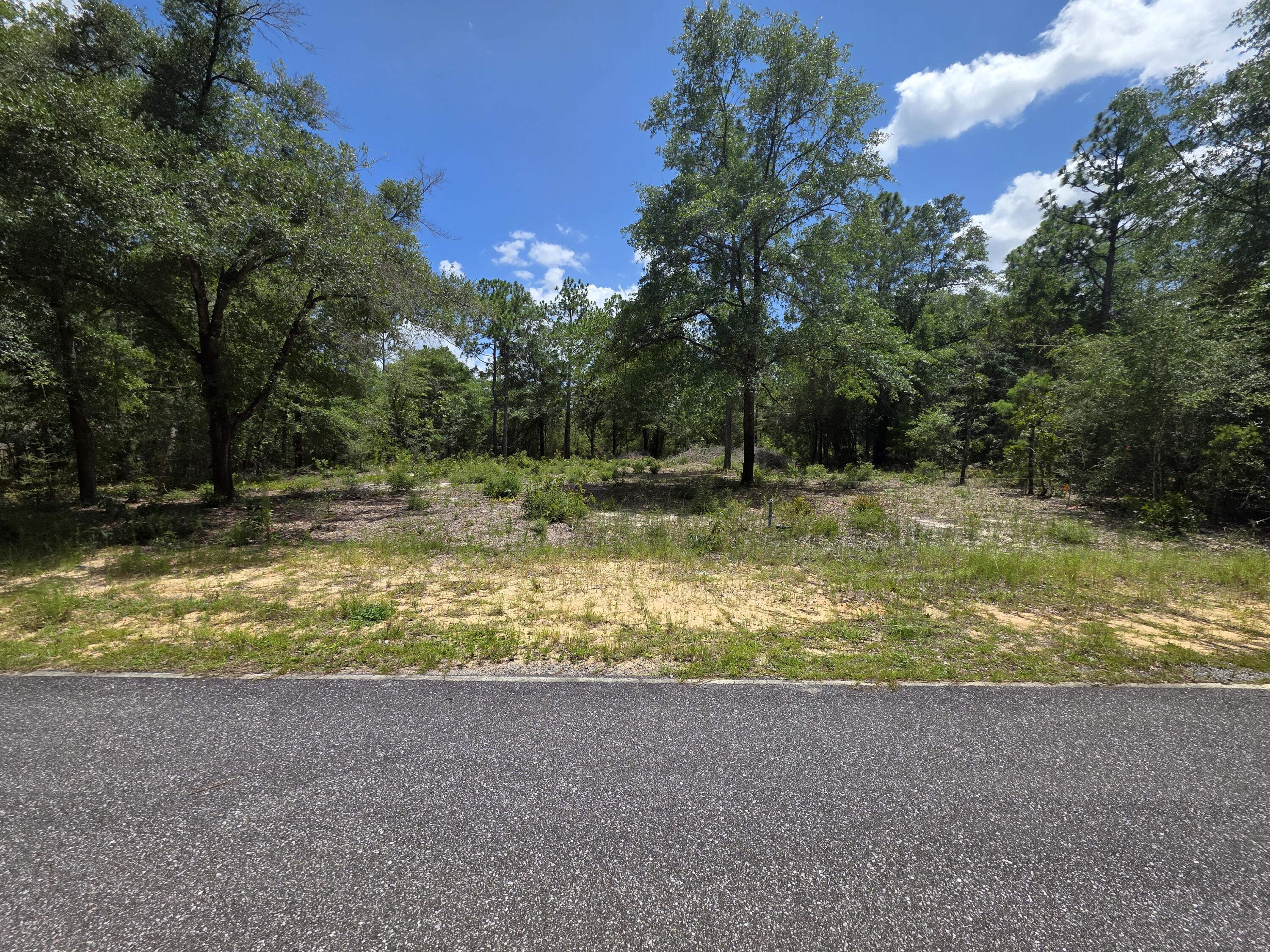 Lot 20 E Tulip East Avenue Defuniak Springs FL 32433