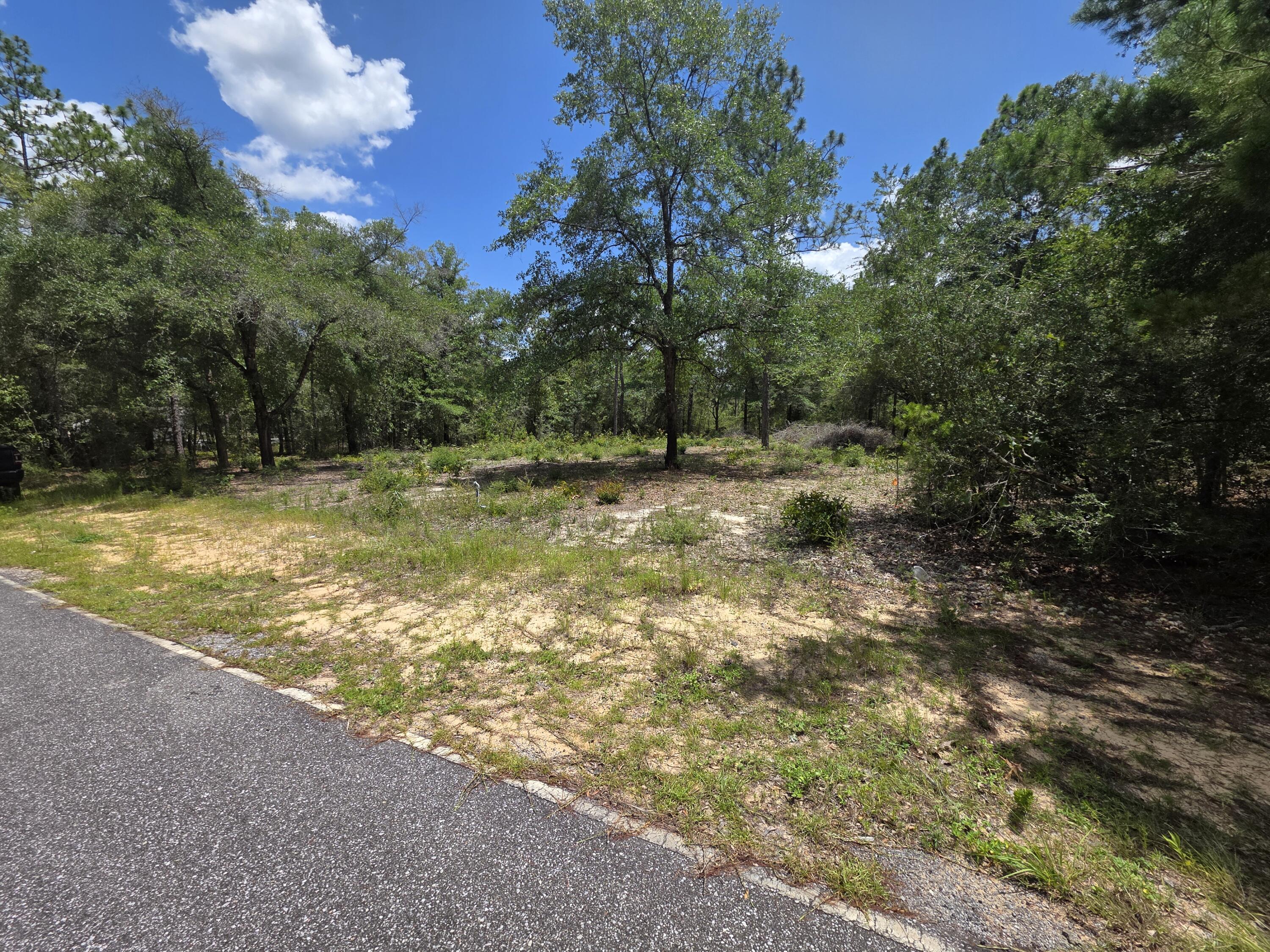 Lot 20 E Tulip East Avenue Defuniak Springs FL 32433