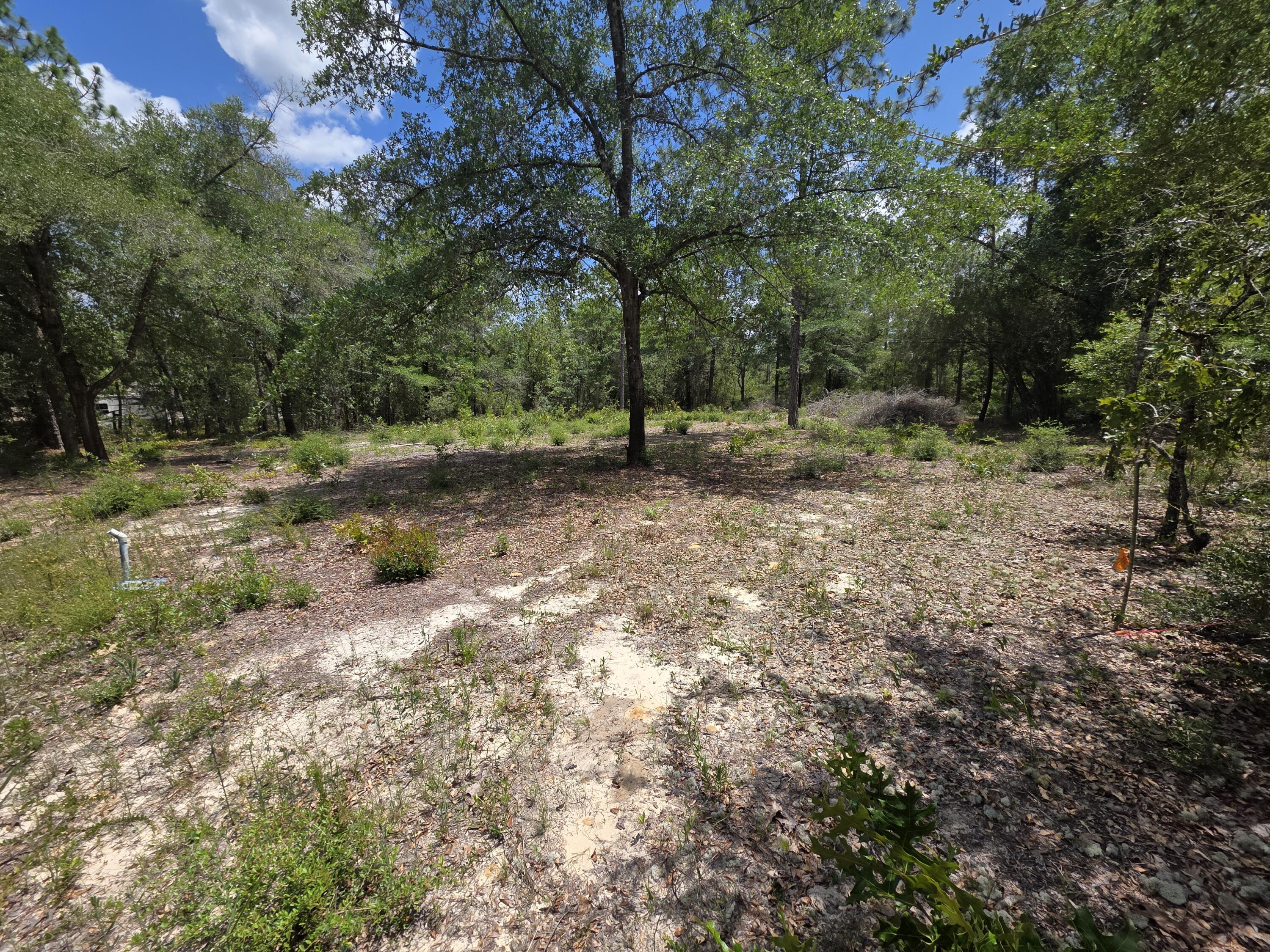 Lot 20 E Tulip East Avenue Defuniak Springs FL 32433