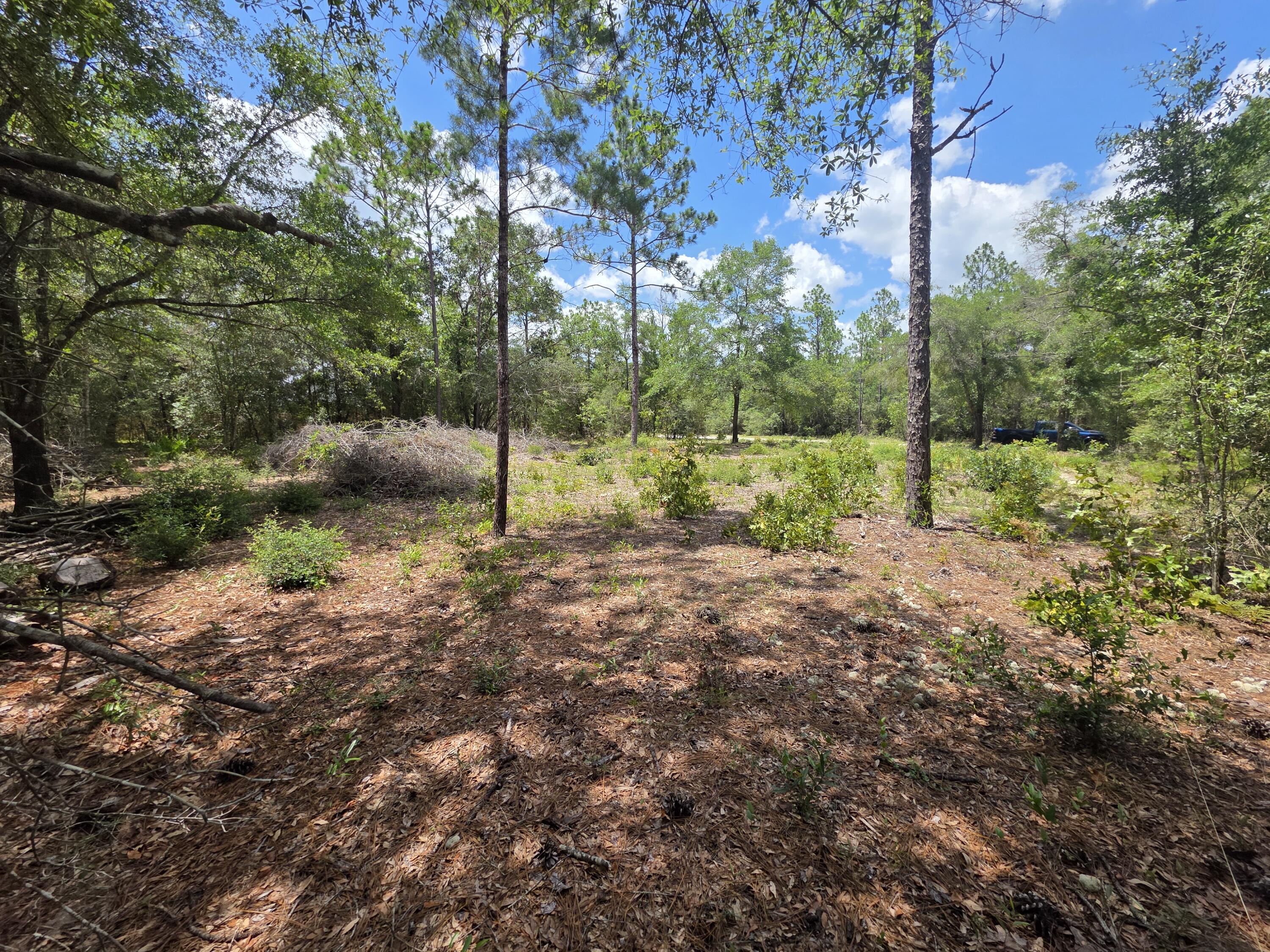 Lot 20 E Tulip East Avenue Defuniak Springs FL 32433