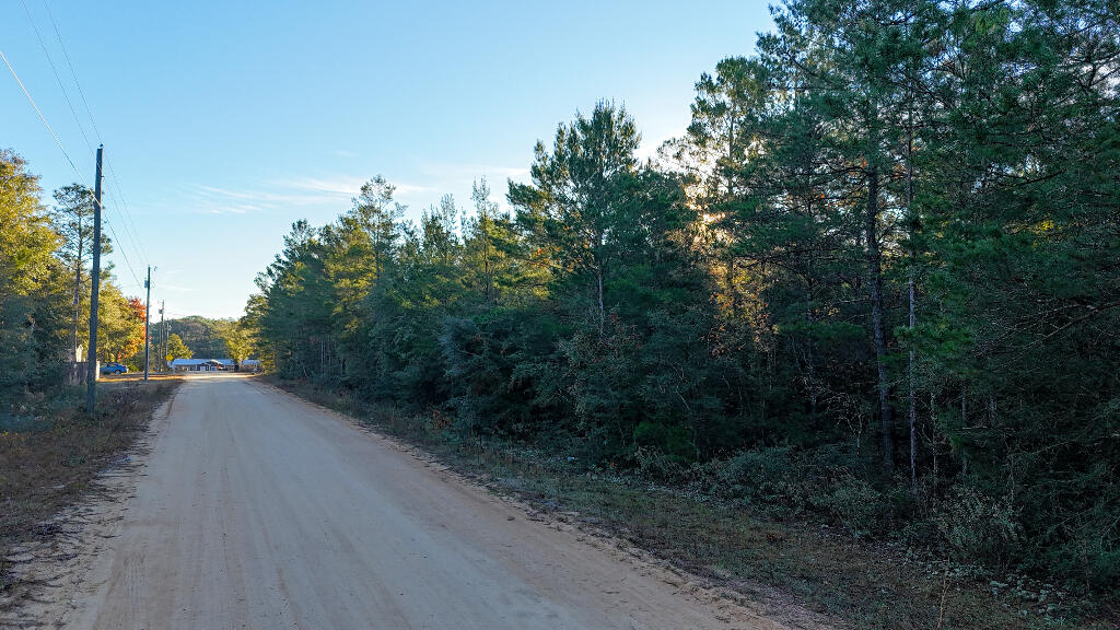 18 Shorey Drive Defuniak Springs FL 32433