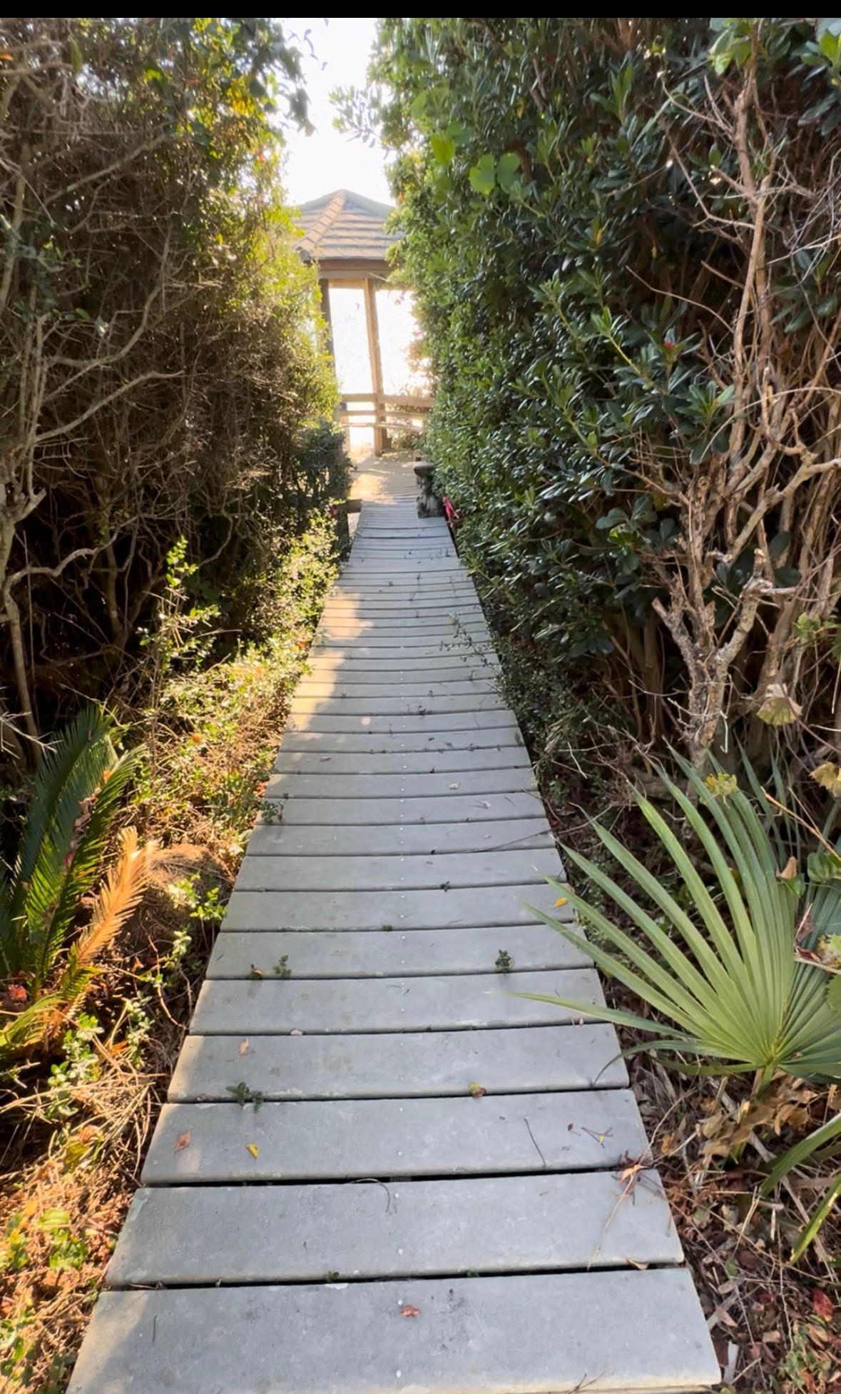 240 Montgomery Street Santa Rosa Beach FL 32459