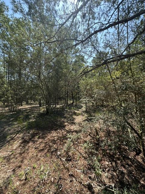 Lot 4 E Buckeye Street Defuniak Springs FL 32433