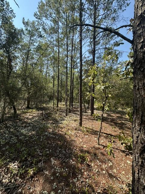 Lot 4 E Buckeye Street Defuniak Springs FL 32433