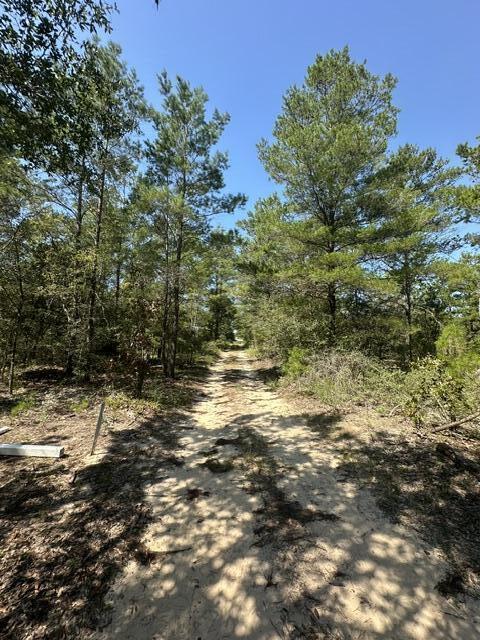 Lot 4 E Buckeye Street Defuniak Springs FL 32433