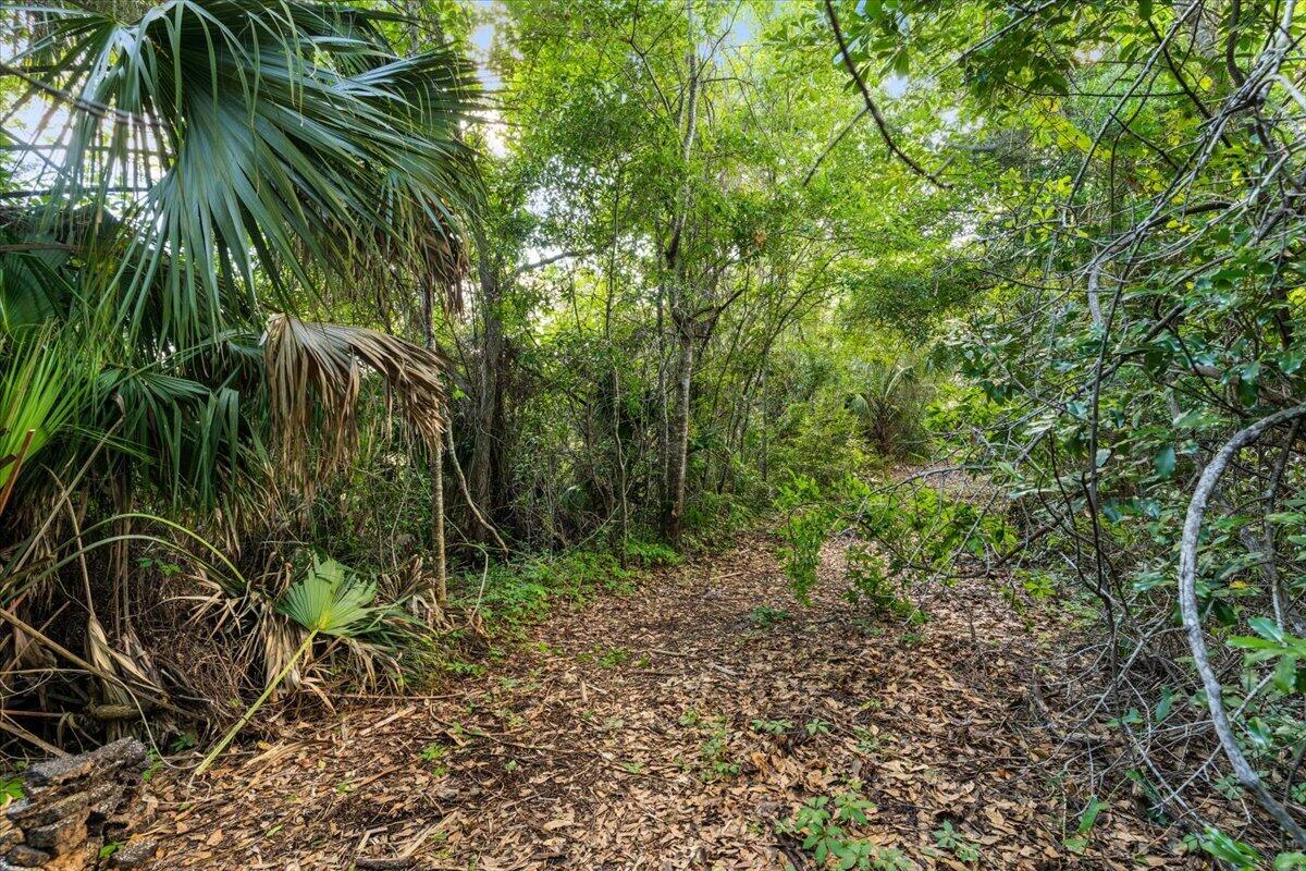 2 Petit Court Shalimar FL 32579