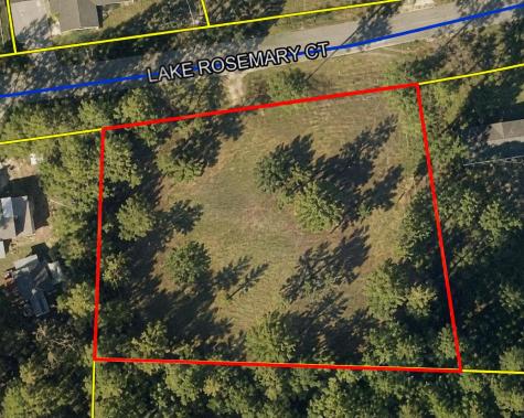 245 Lake Rosemary Court DeFuniak Springs FL 32433