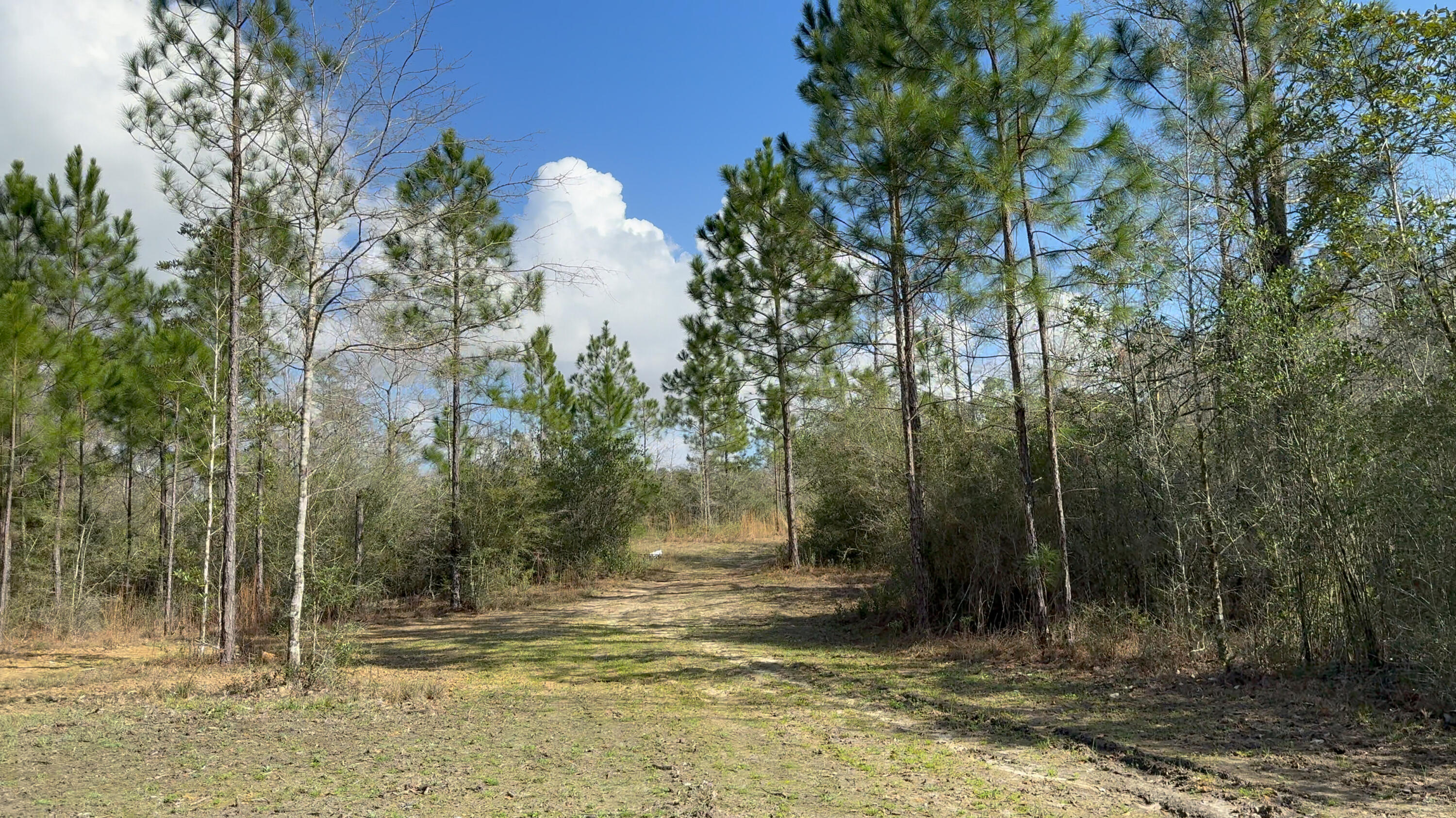 0 Native Creek Road Milton FL 32571
