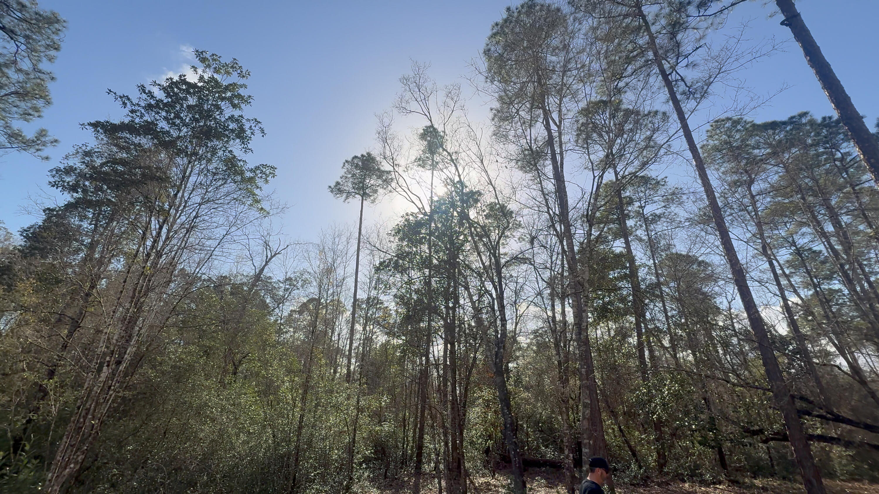 0 Native Creek Road Milton FL 32571