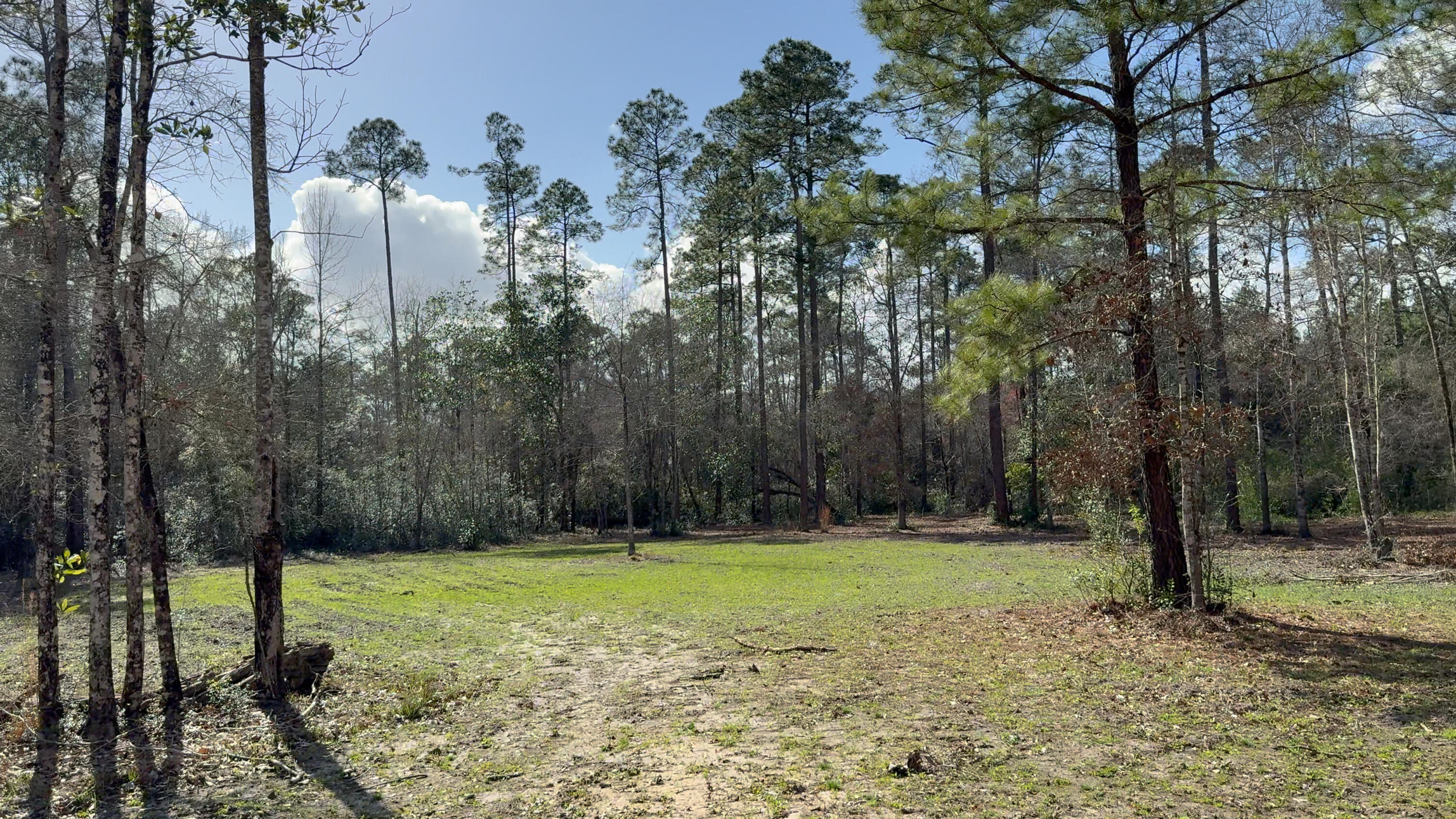 0 Native Creek Road Milton FL 32571