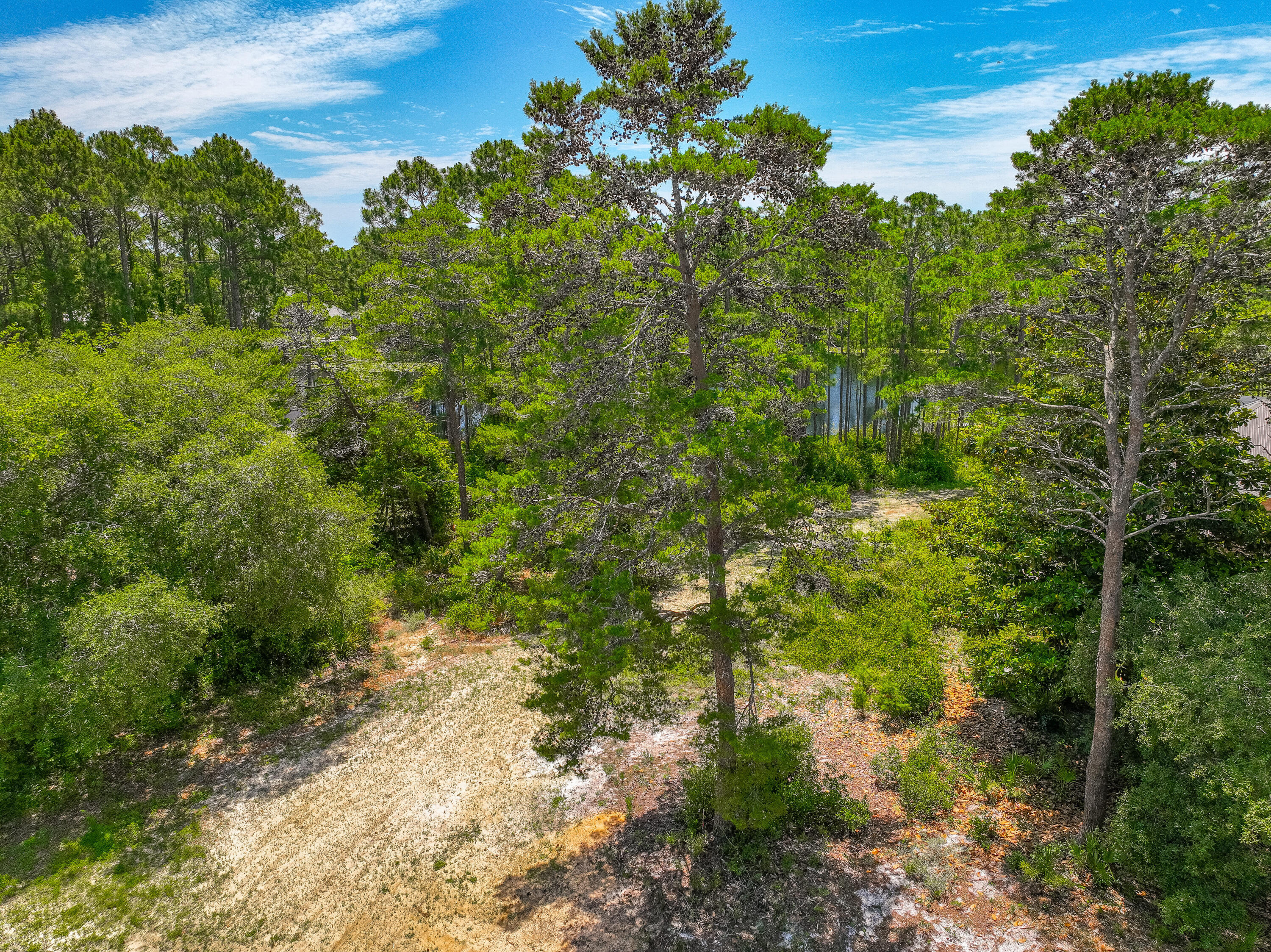 97 Fairway Drive Santa Rosa Beach FL 32459