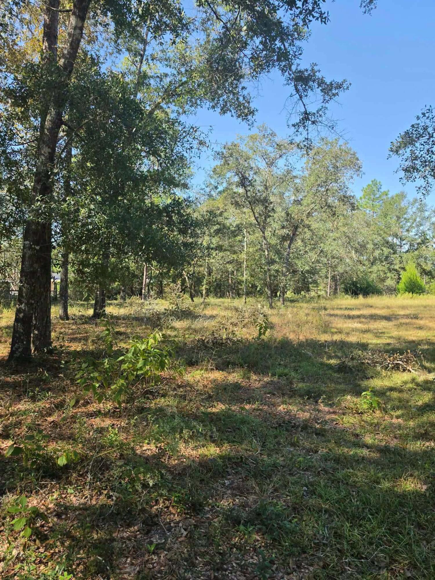 3091 Kings Lake Defuniak Springs FL 32433