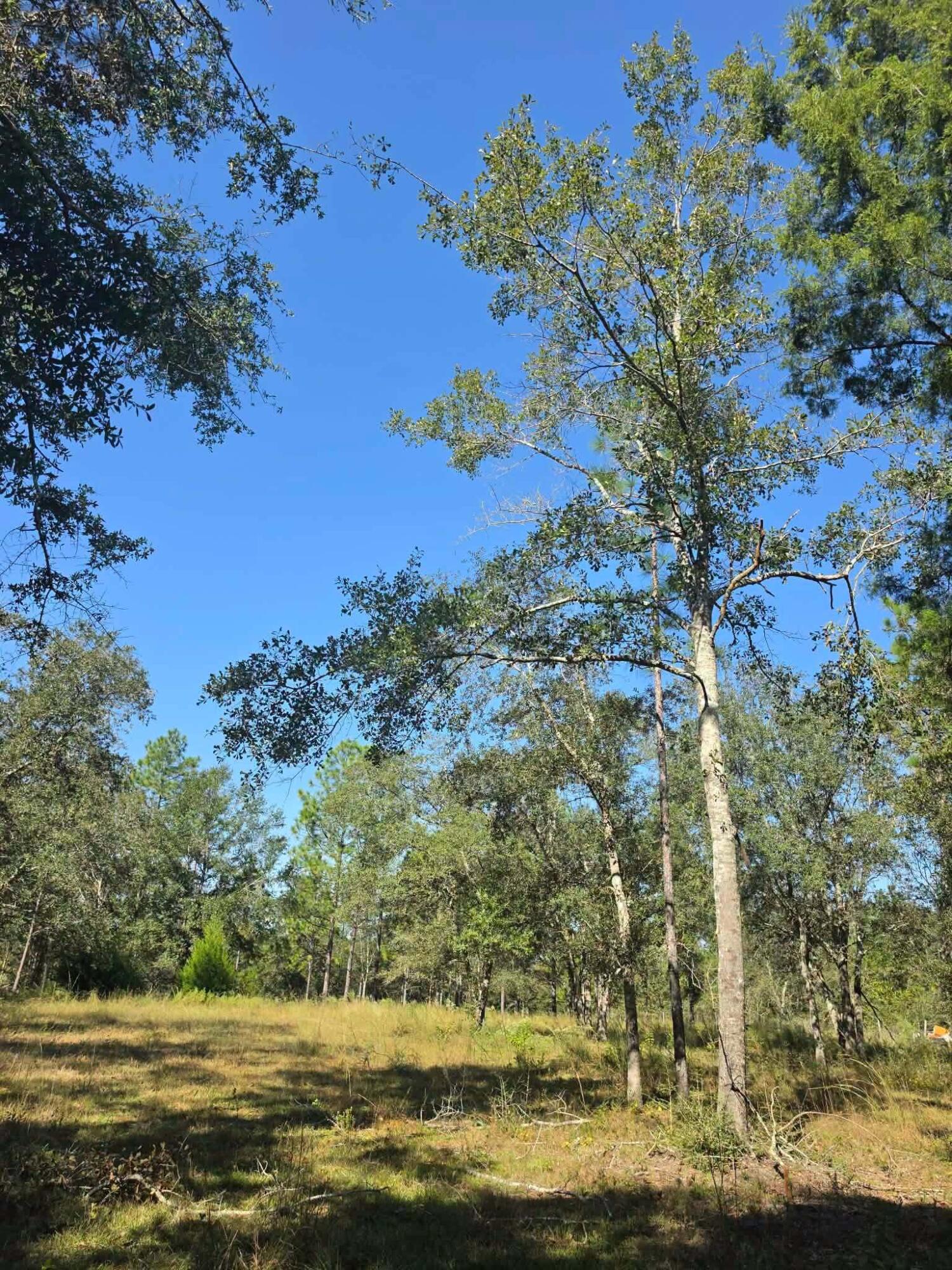 3091 Kings Lake Defuniak Springs FL 32433