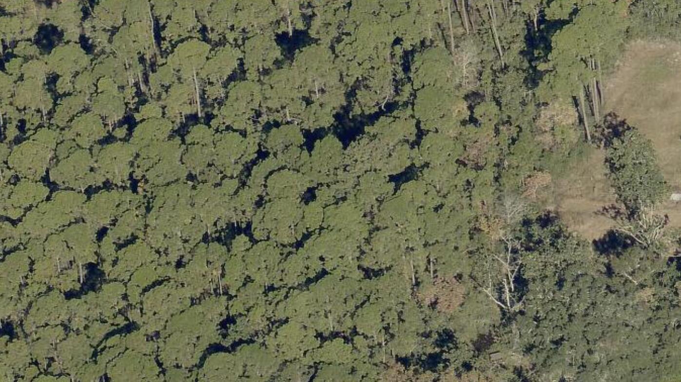 Lot 7 N 14th Street Santa Rosa Beach FL 32459
