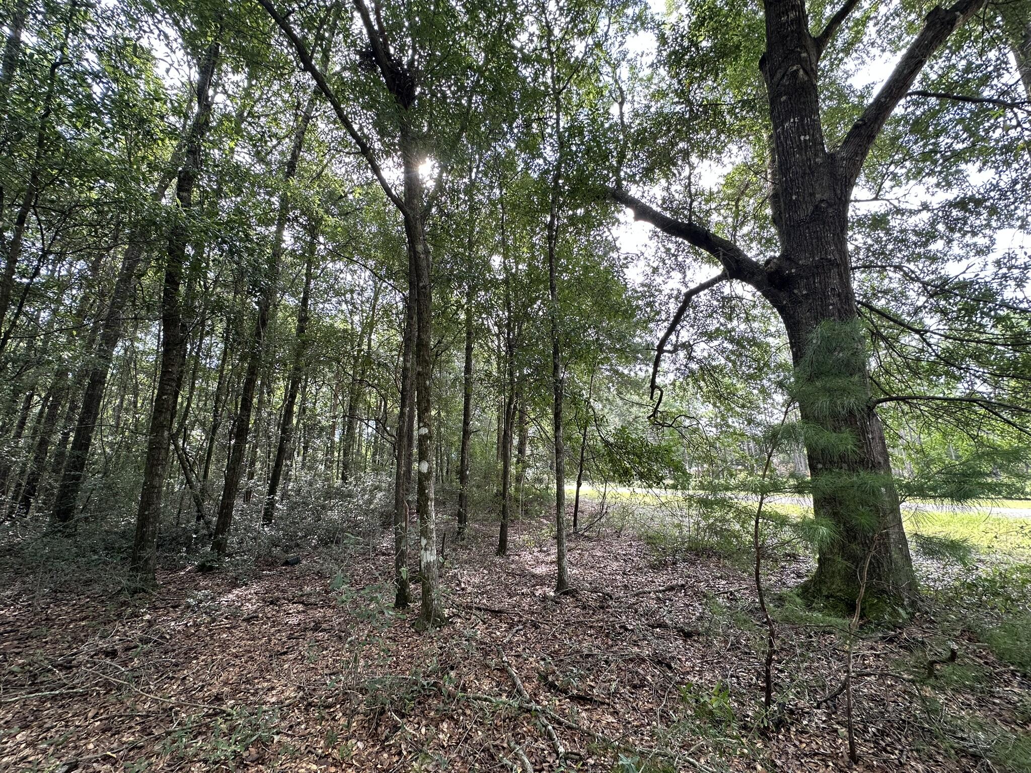 Lot D Pineforest Drive Crestview FL 32539