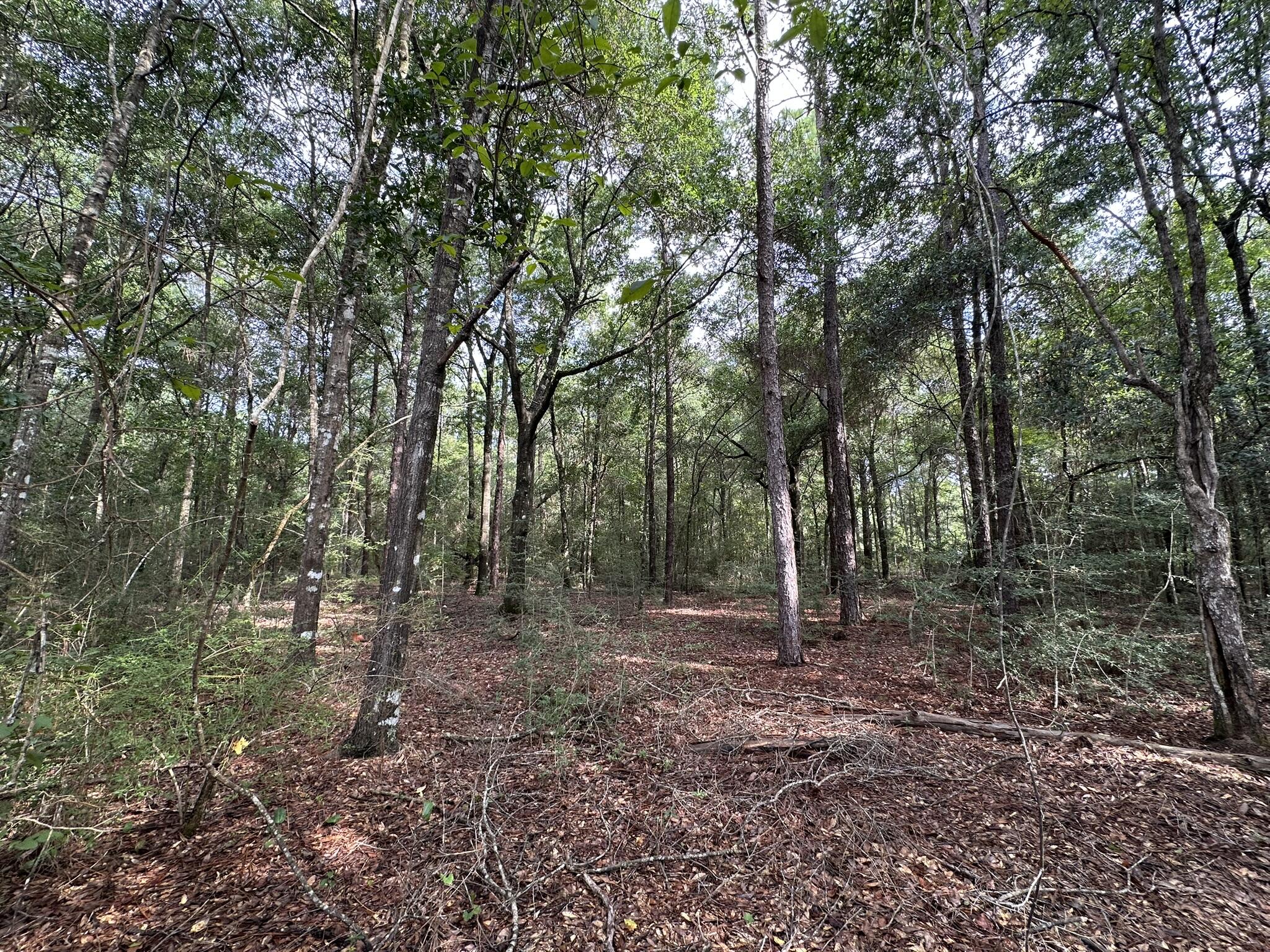 Lot D Pineforest Drive Crestview FL 32539