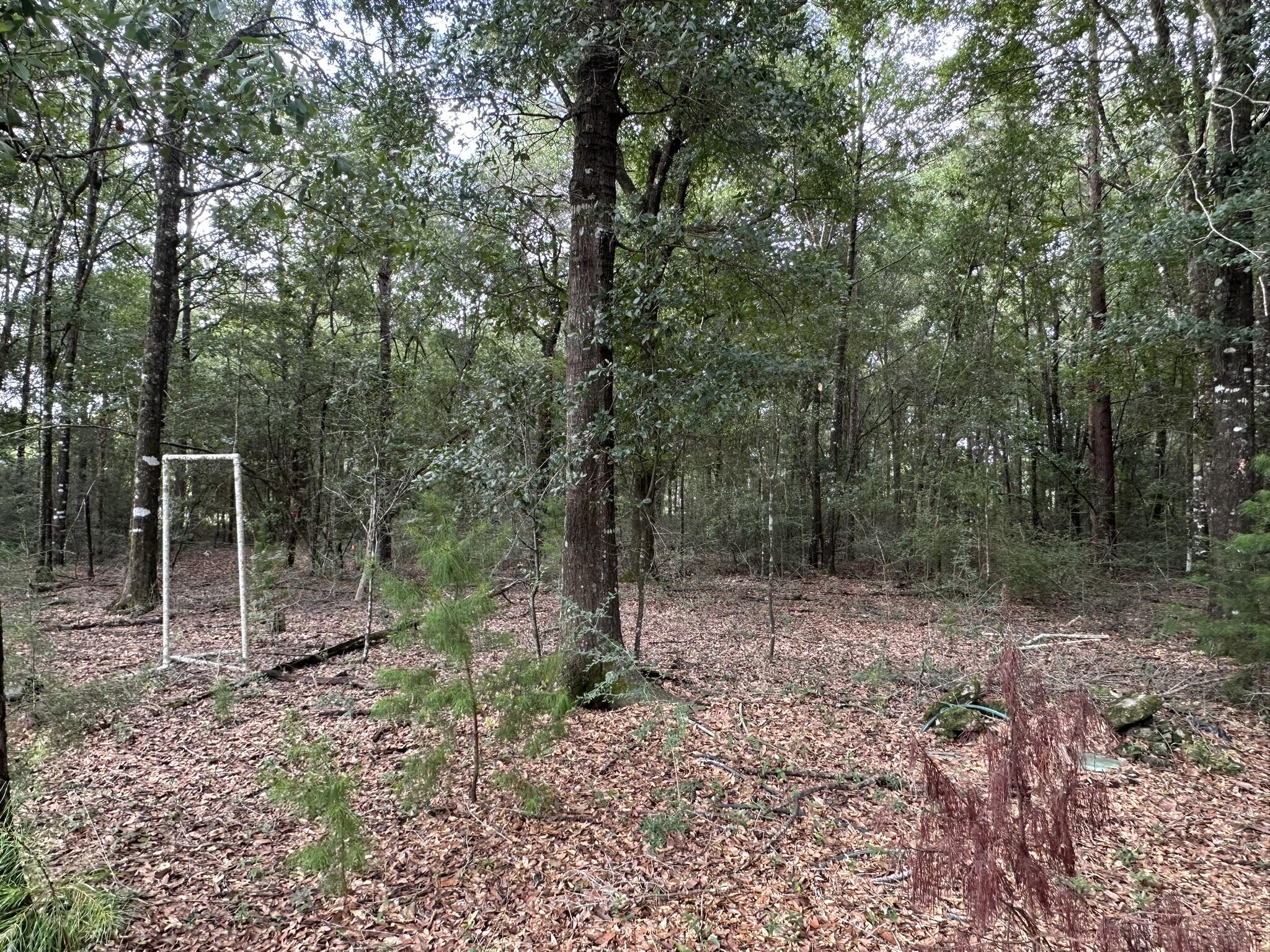 Lot D Pineforest Drive Crestview FL 32539