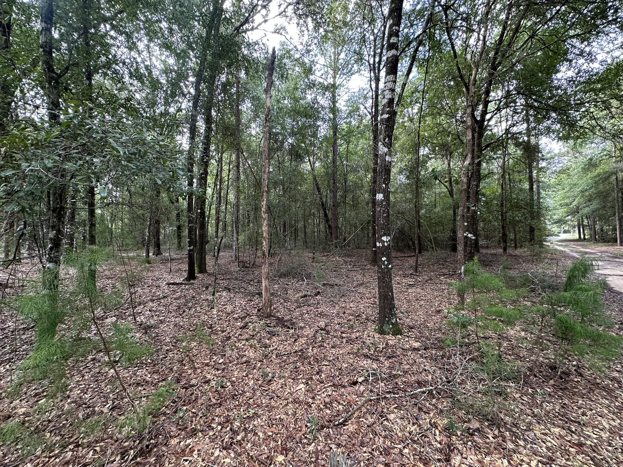 Lot D Pineforest Drive Crestview FL 32539