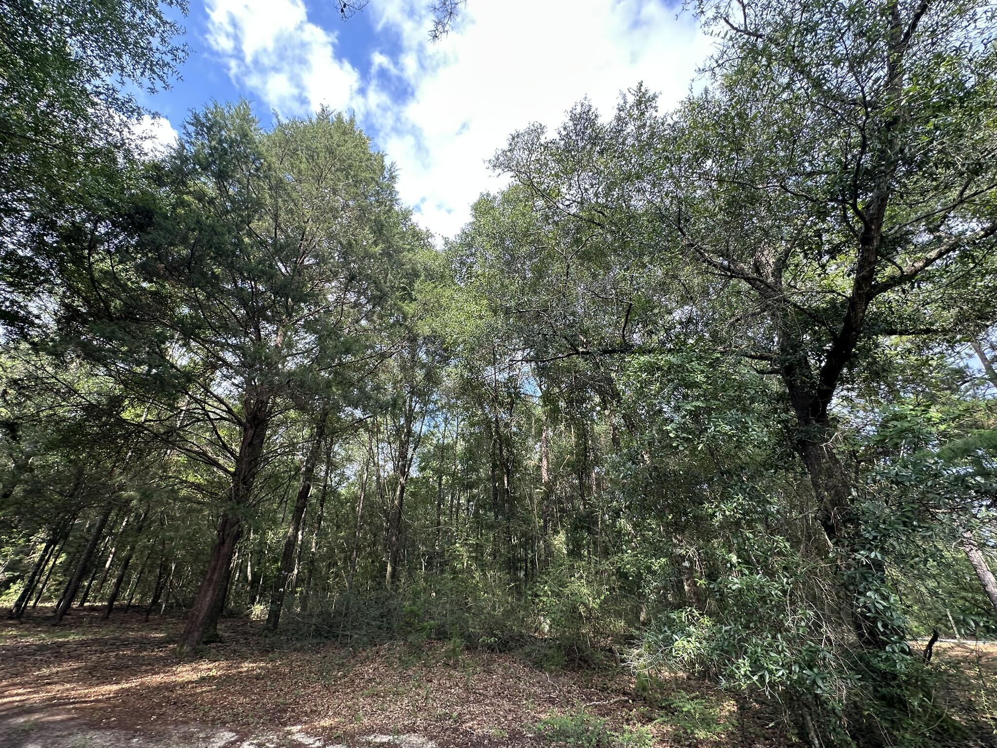Lot D Pineforest Drive Crestview FL 32539