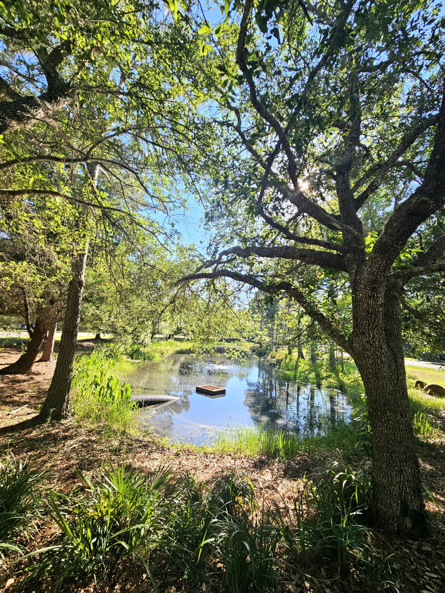1514 Sweetbay Trail Panama City Beach FL 32413