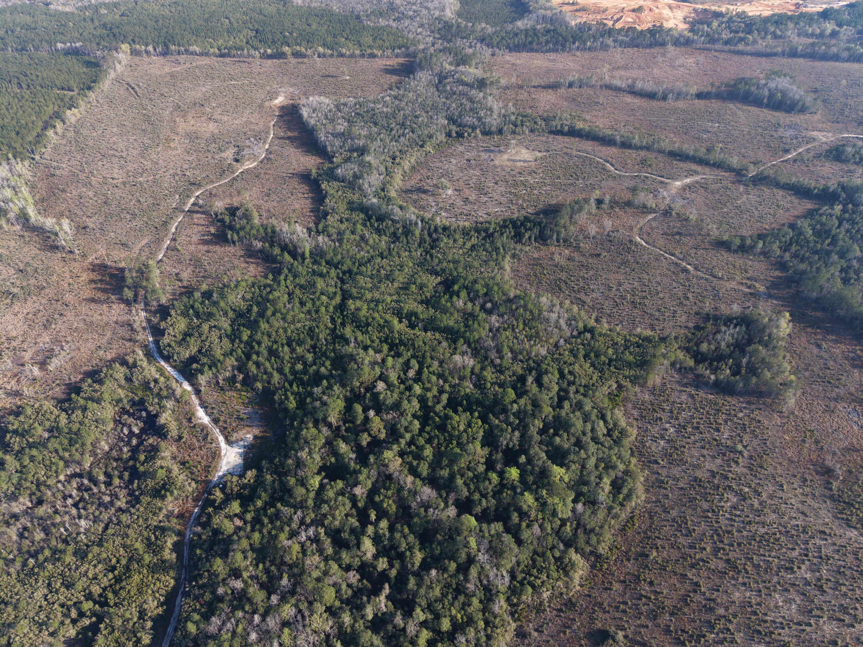 2113 Tbd 526 Acres +/- Westville FL 32464
