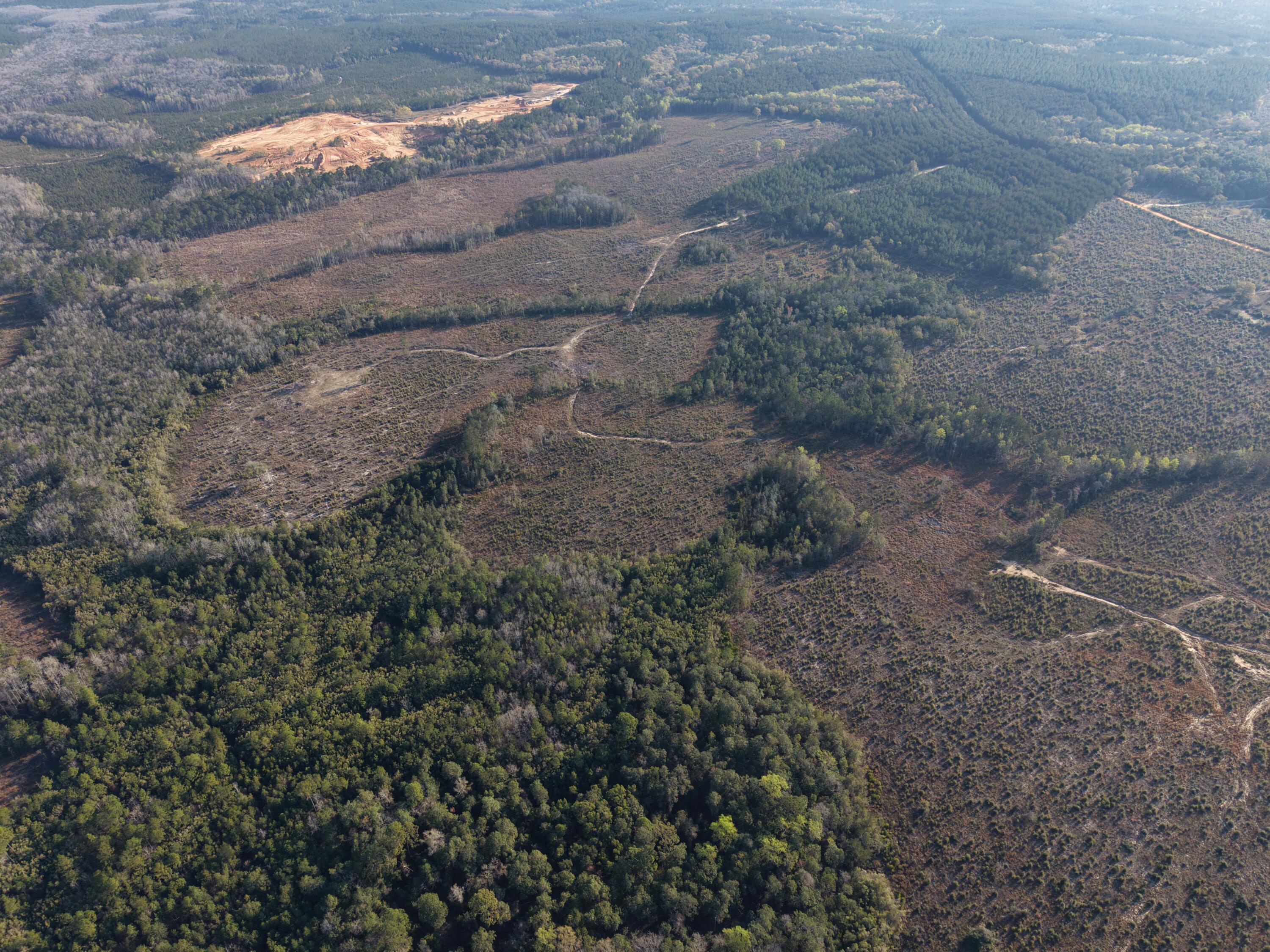 2113 Tbd 526 Acres +/- Westville FL 32464