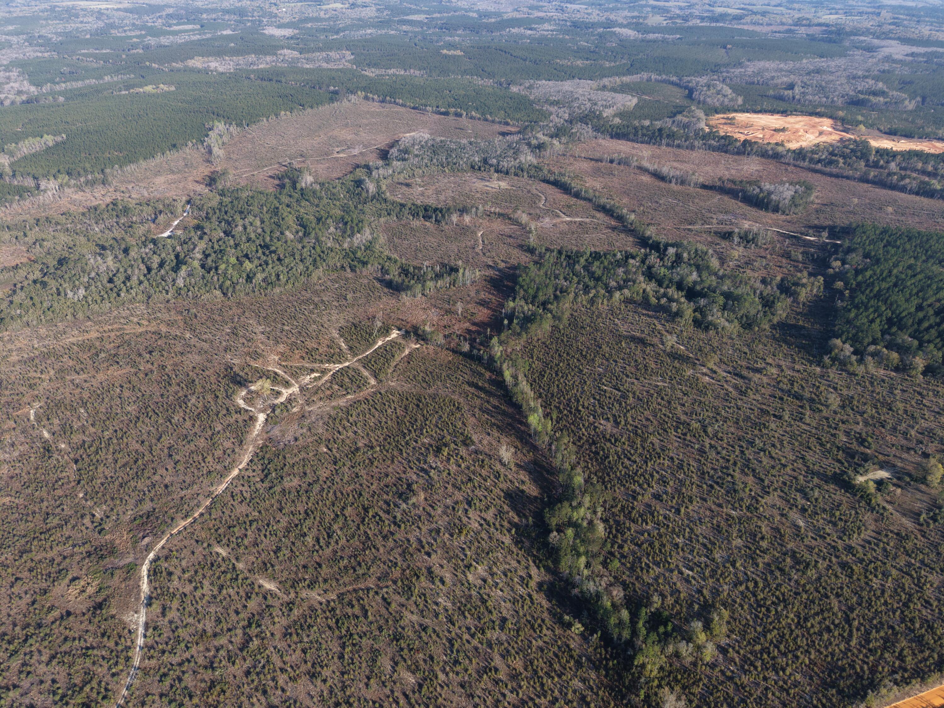2113 Tbd 526 Acres +/- Westville FL 32464
