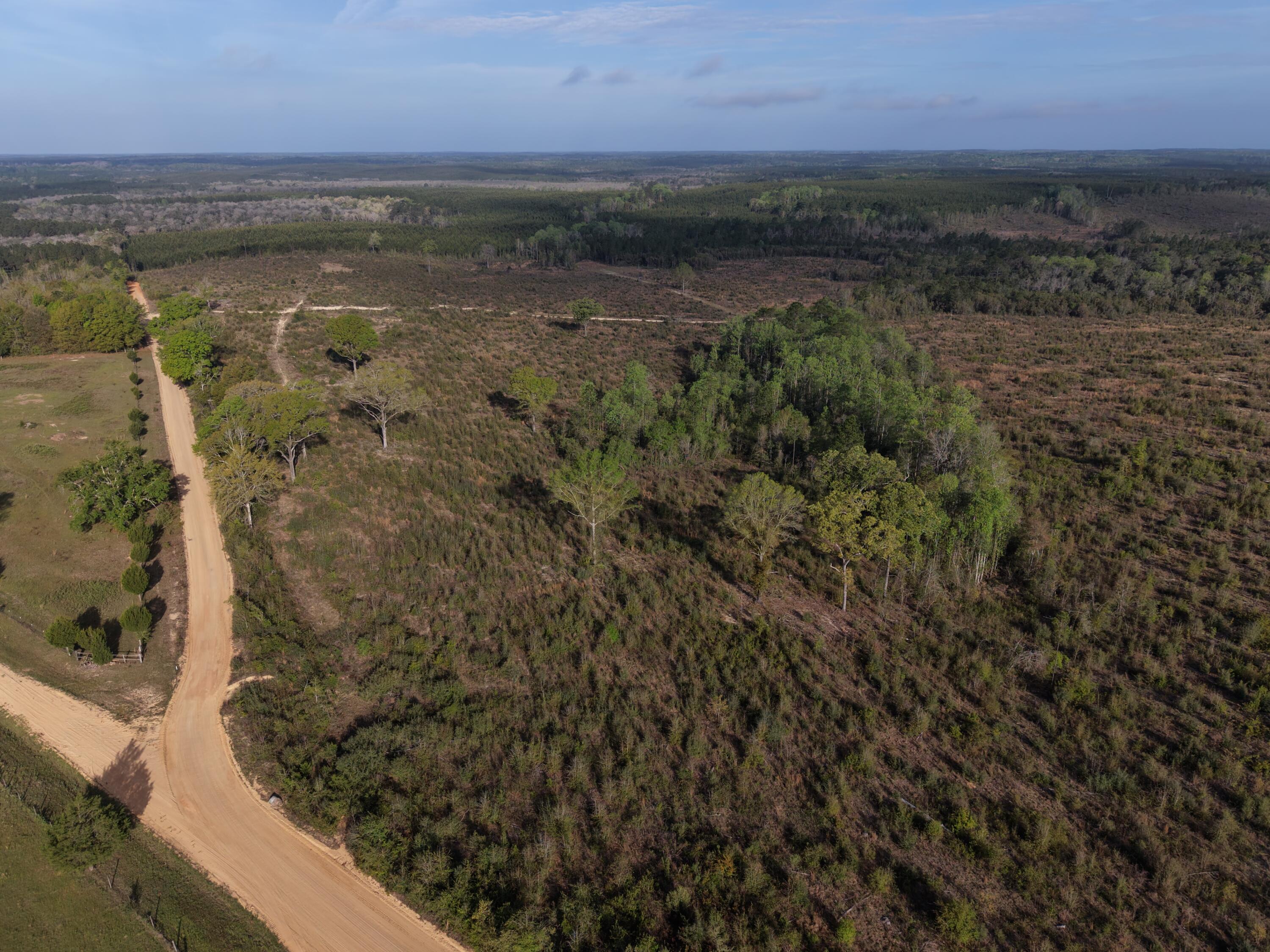 2113 Tbd 526 Acres +/- Westville FL 32464