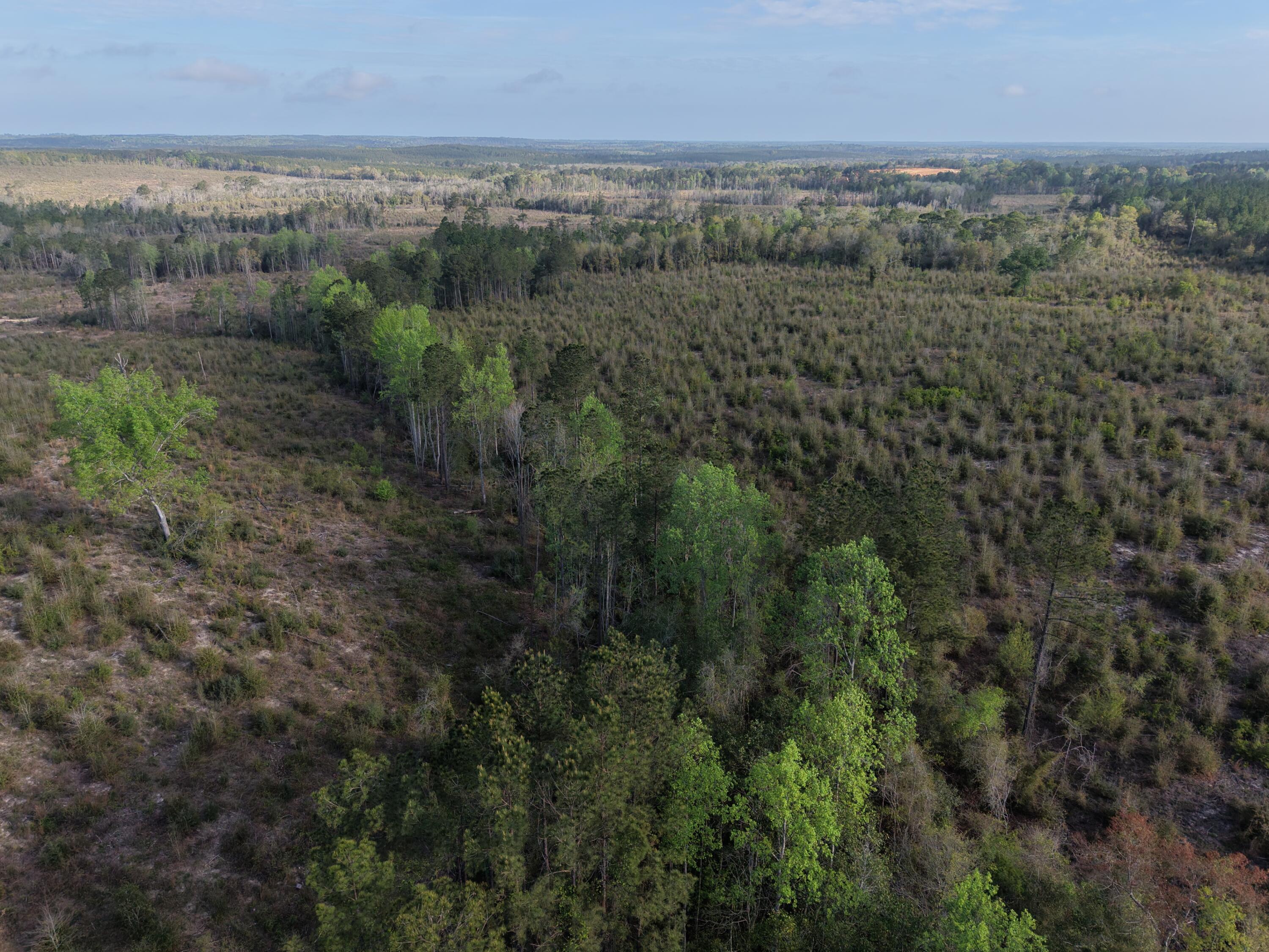 2113 Tbd 526 Acres +/- Westville FL 32464