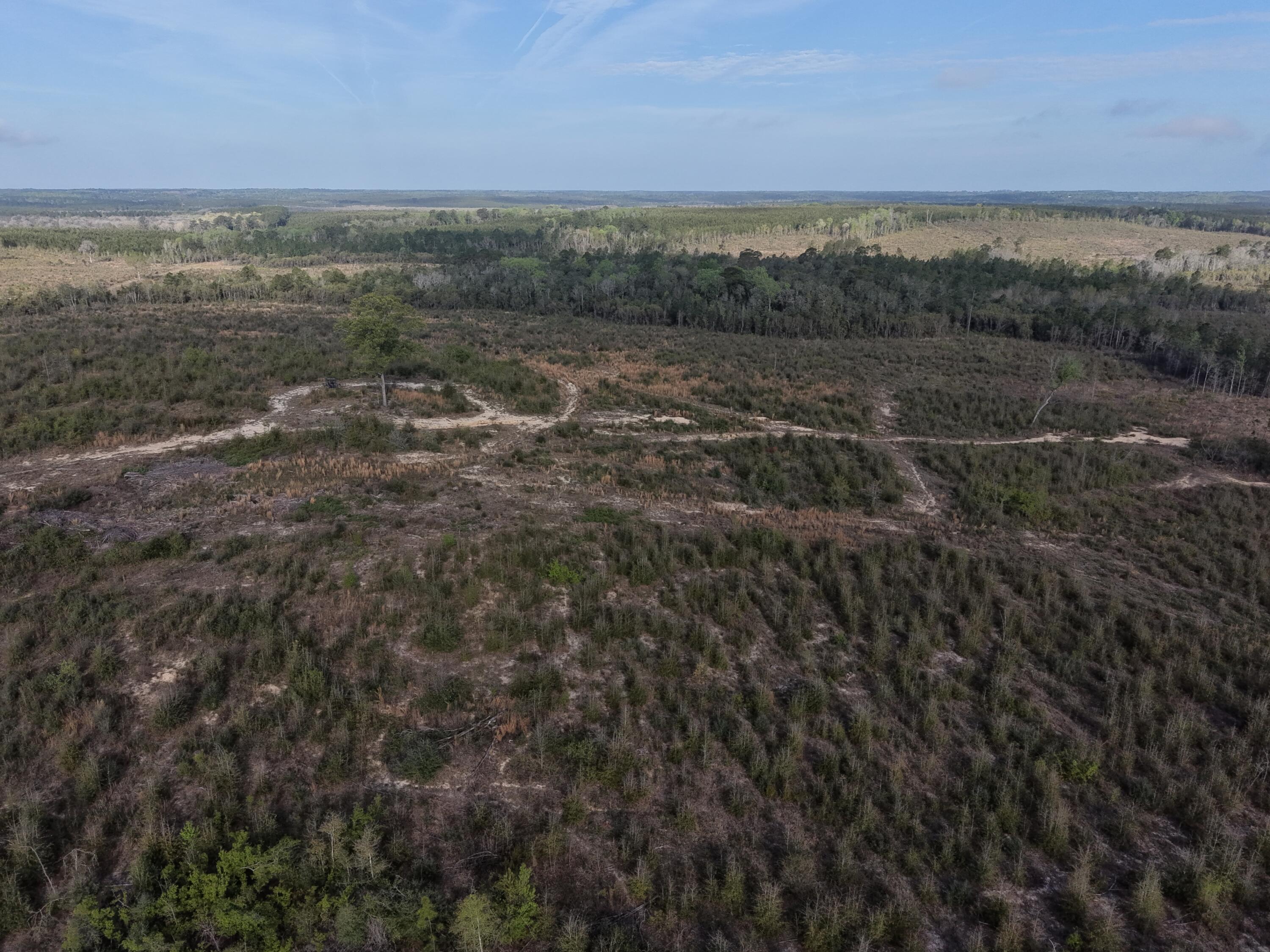 2113 Tbd 526 Acres +/- Westville FL 32464
