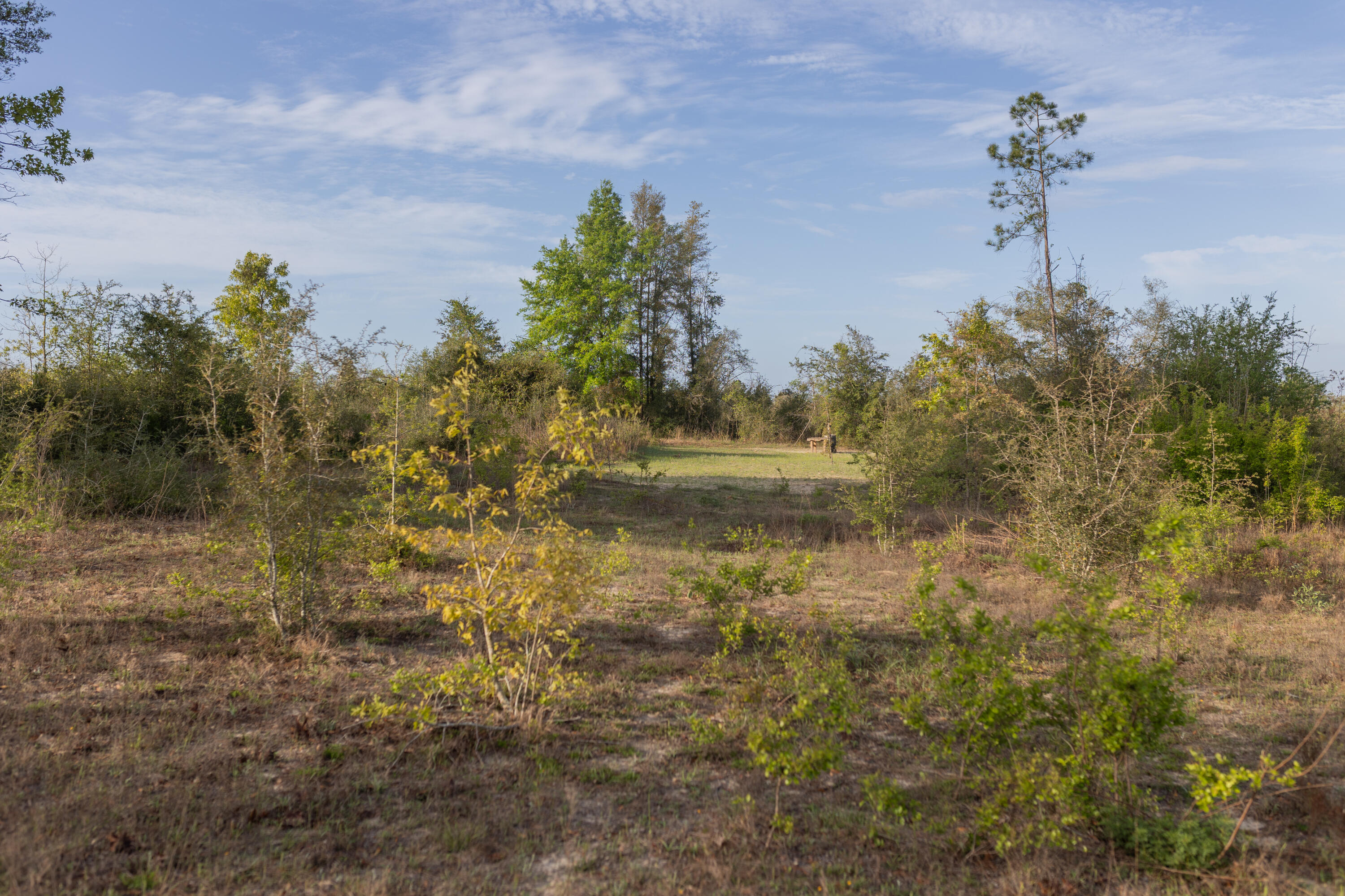 2113 Tbd 526 Acres +/- Westville FL 32464