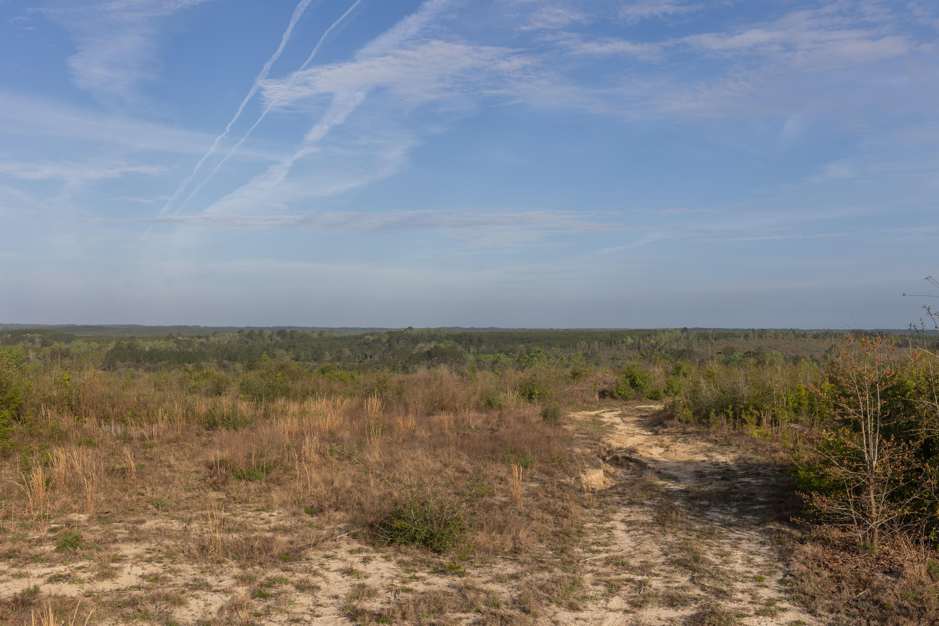 2113 Tbd 526 Acres +/- Westville FL 32464