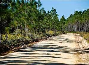 Lot 20 Little Canal Drive Santa Rosa Beach FL 32459